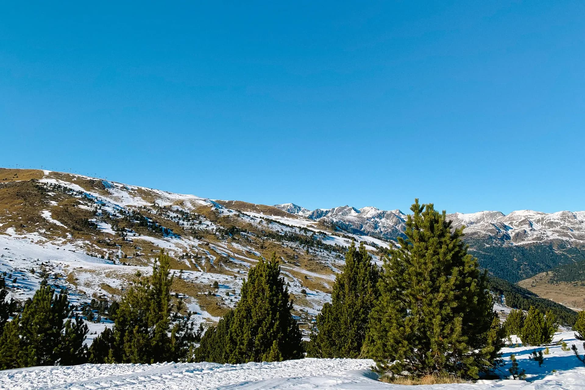 green pine tree and icy mountain scenry