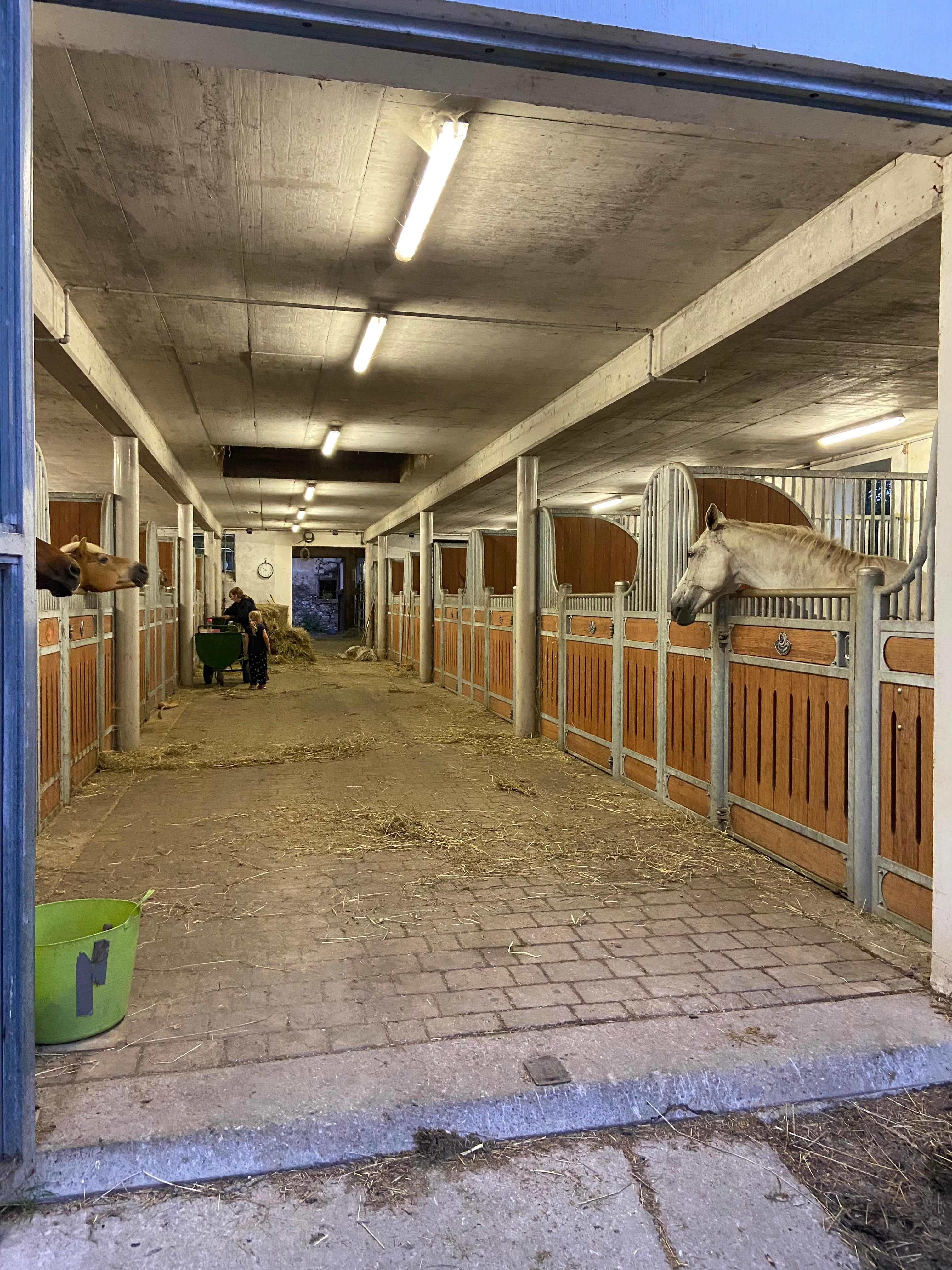Alpin Apart Ansicht 9