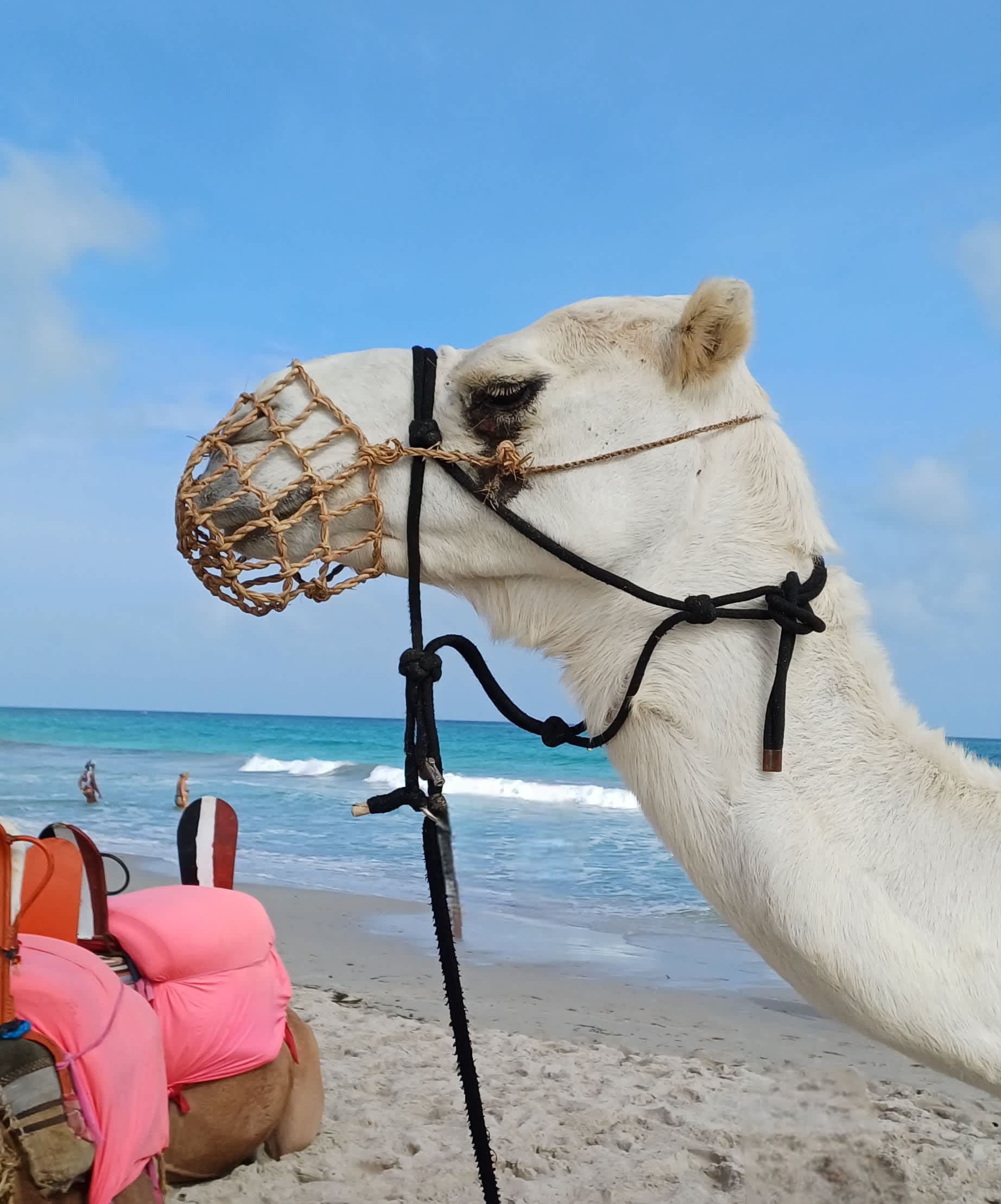 Palm Beach Club Djerba Ansicht 8