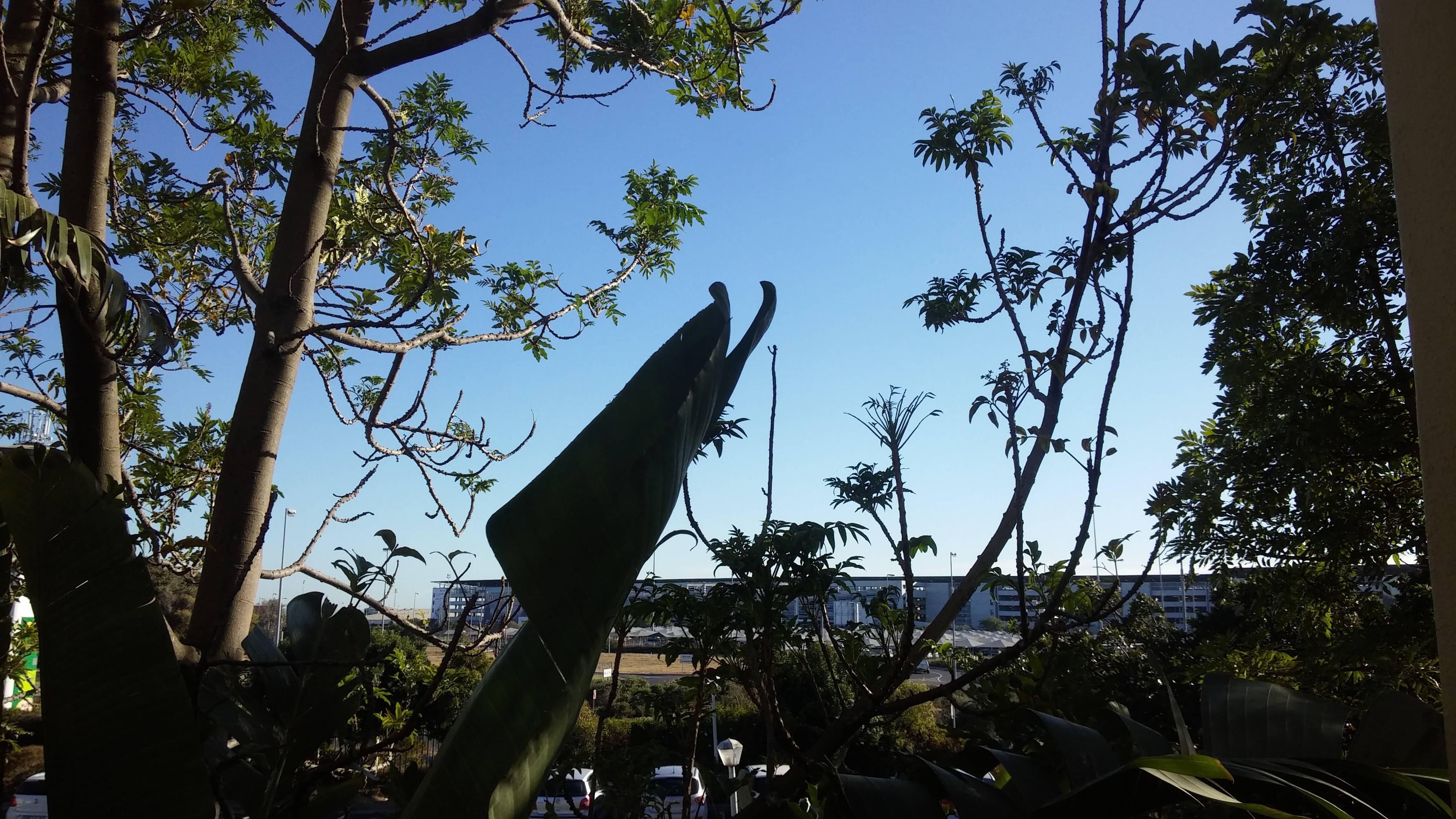 Road Lodge International Airport Cape Town Ansicht 7