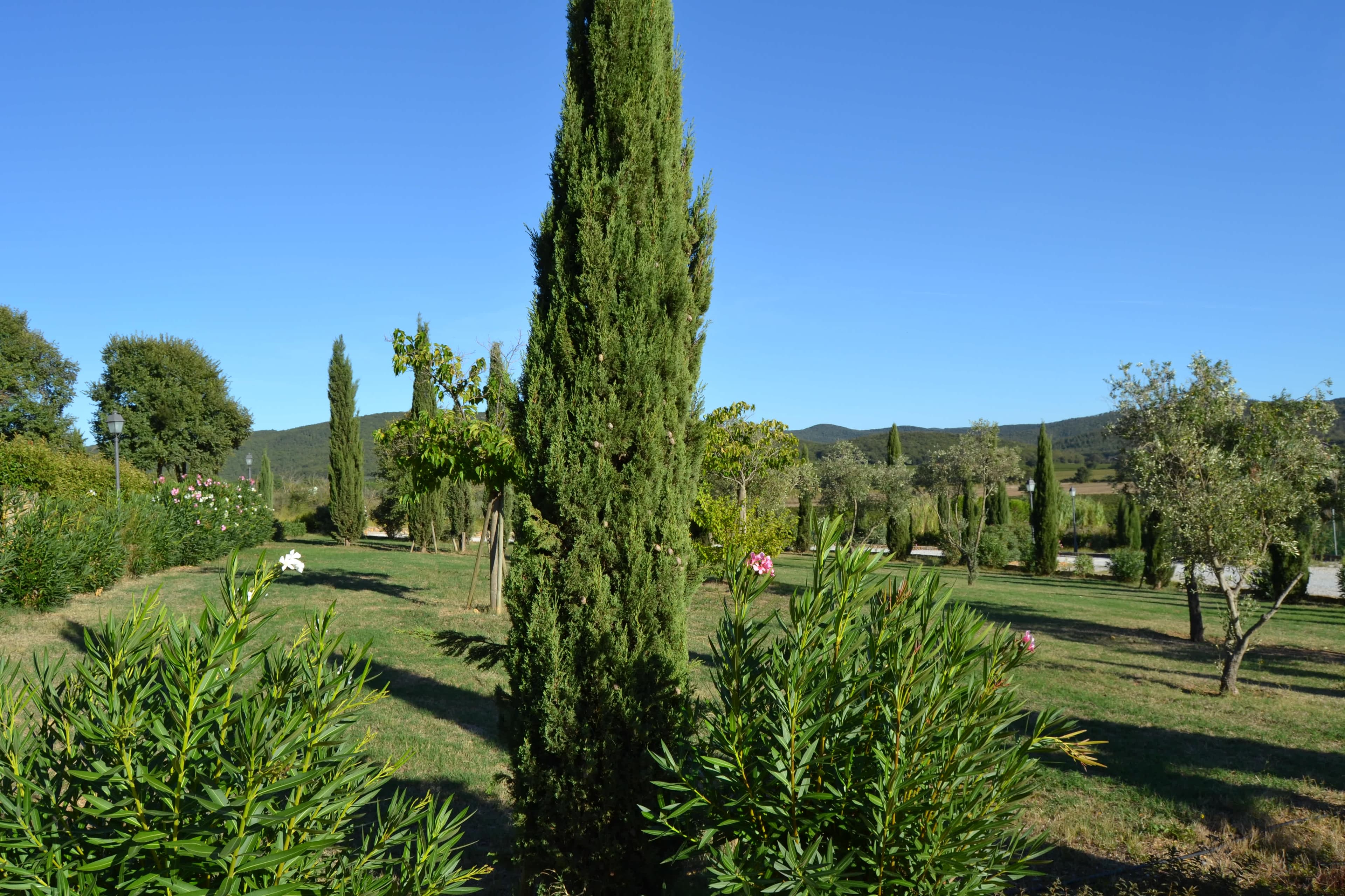 Holiday Home Antico Borgo Casalappii Ansicht 10
