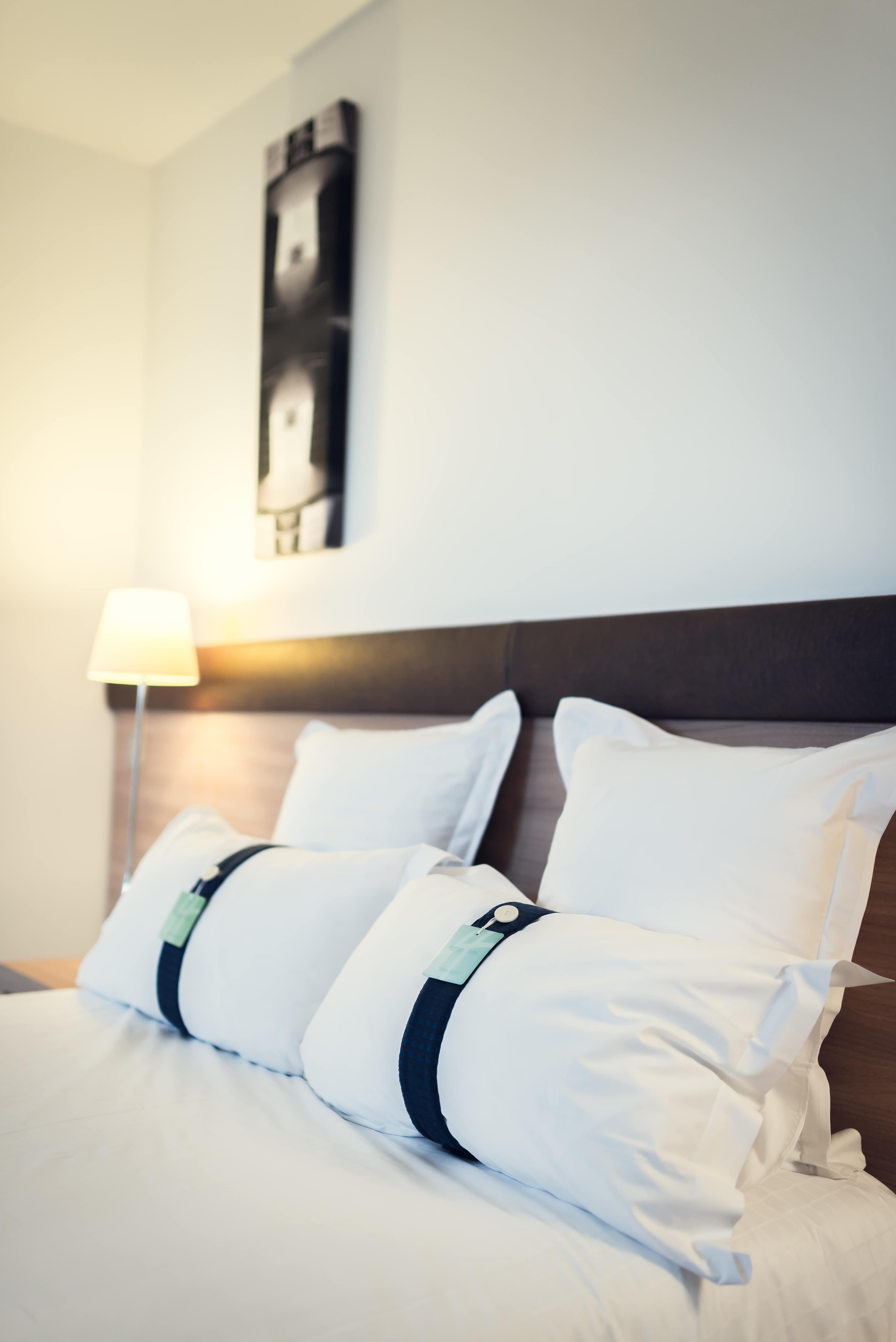 Hotel Holiday Inn Mulhouse Ansicht 3
