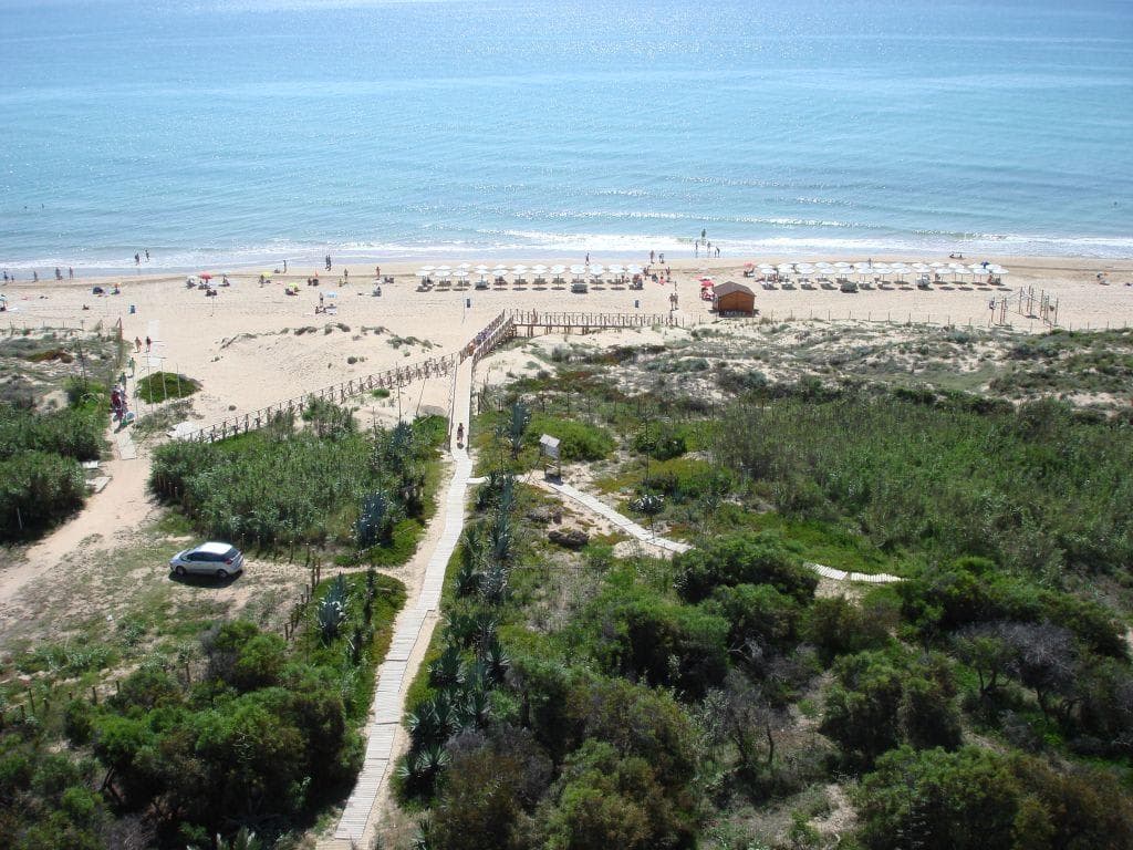 Hotel Playas de Guardamar Ansicht 10