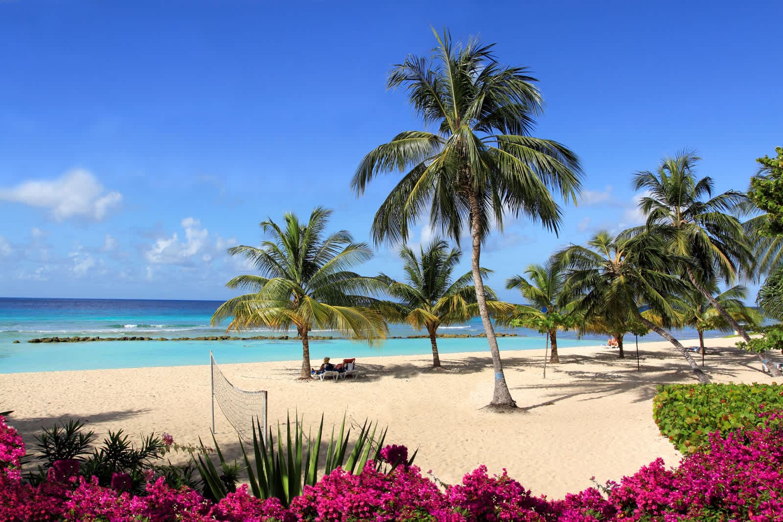 Coconut Court Beach Hotel Ansicht 7