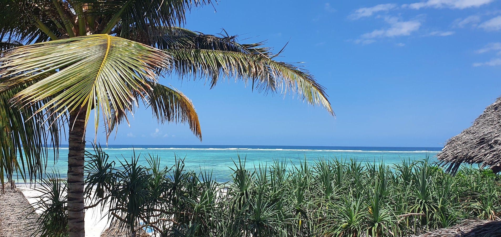 Zoi Retreat Hotel Zanzibar Ansicht 6