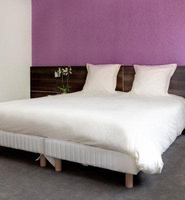 Best Western Hotel Alexander Park Ansicht 2