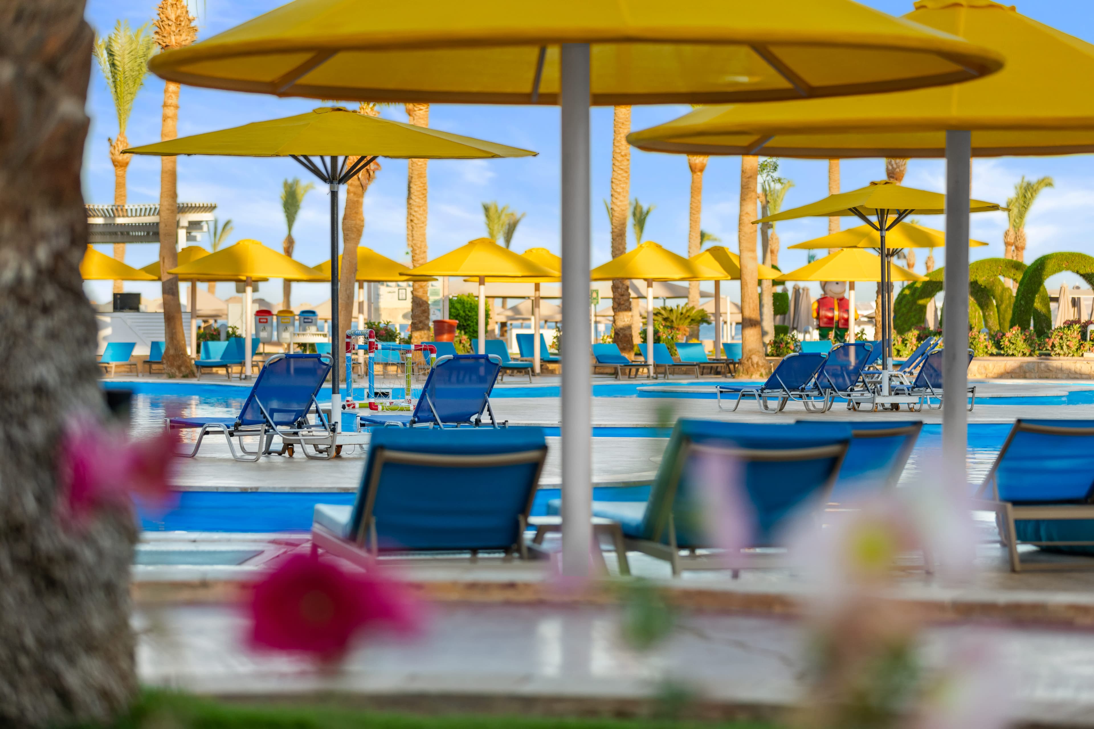 Pickalbatros Palace Resort Ansicht 8