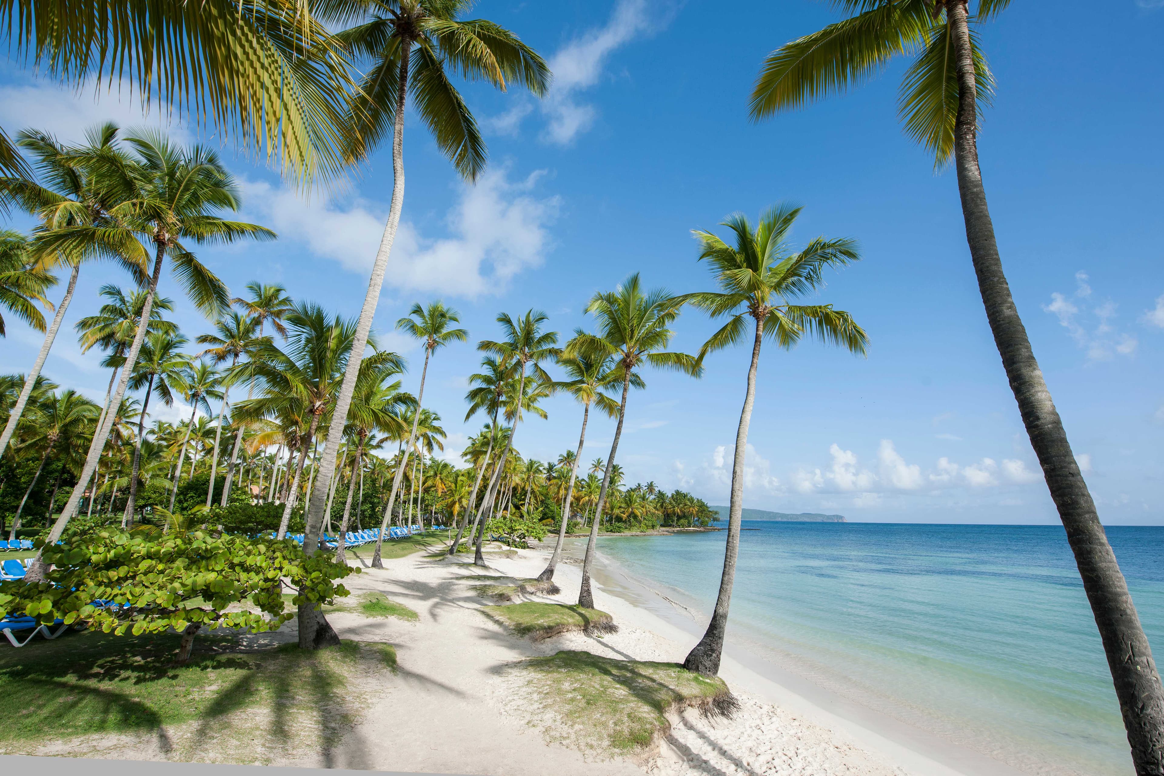 Wyndham Alltra Samana Ansicht 8