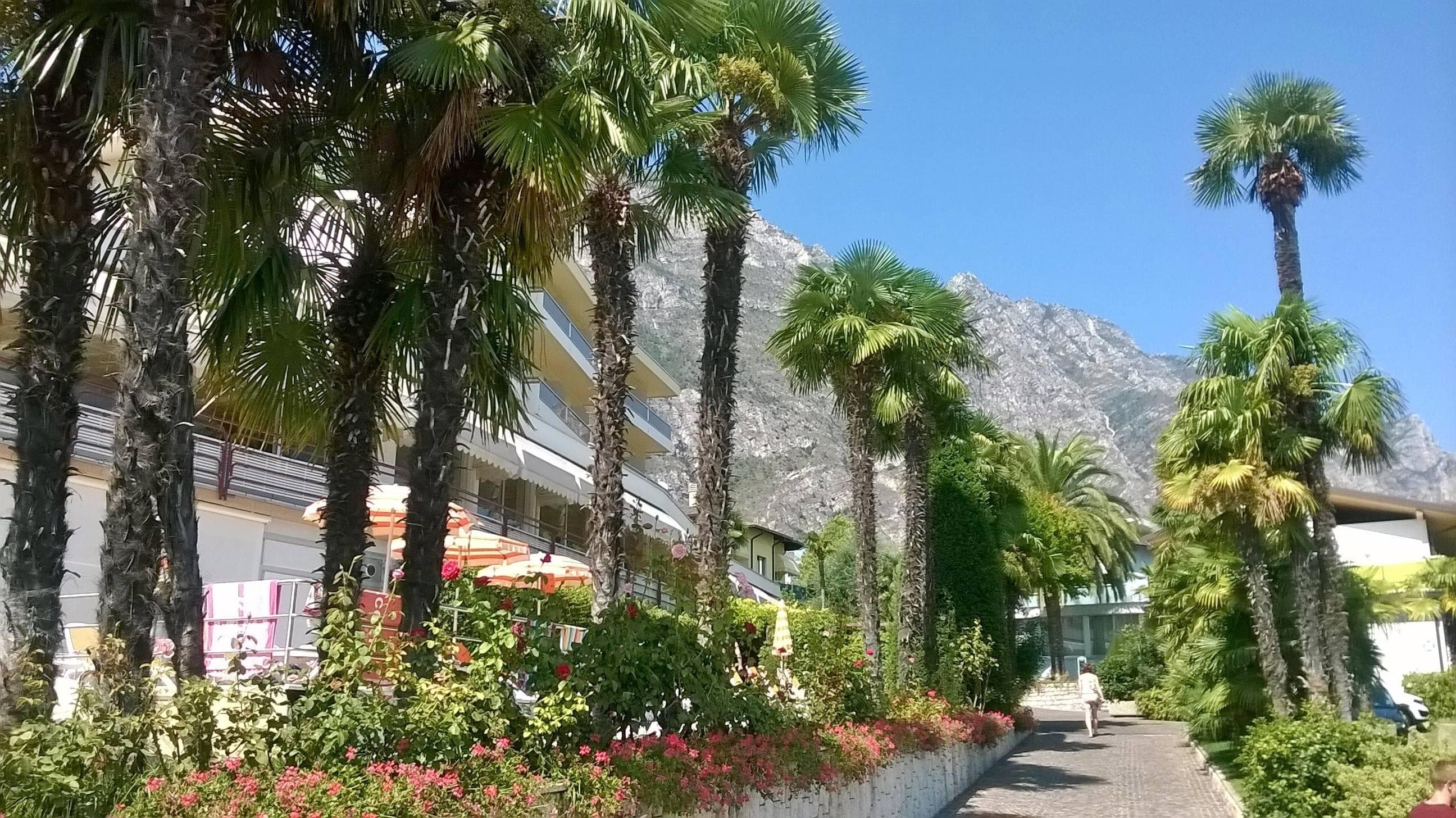 Hotel Ideal Ansicht 9