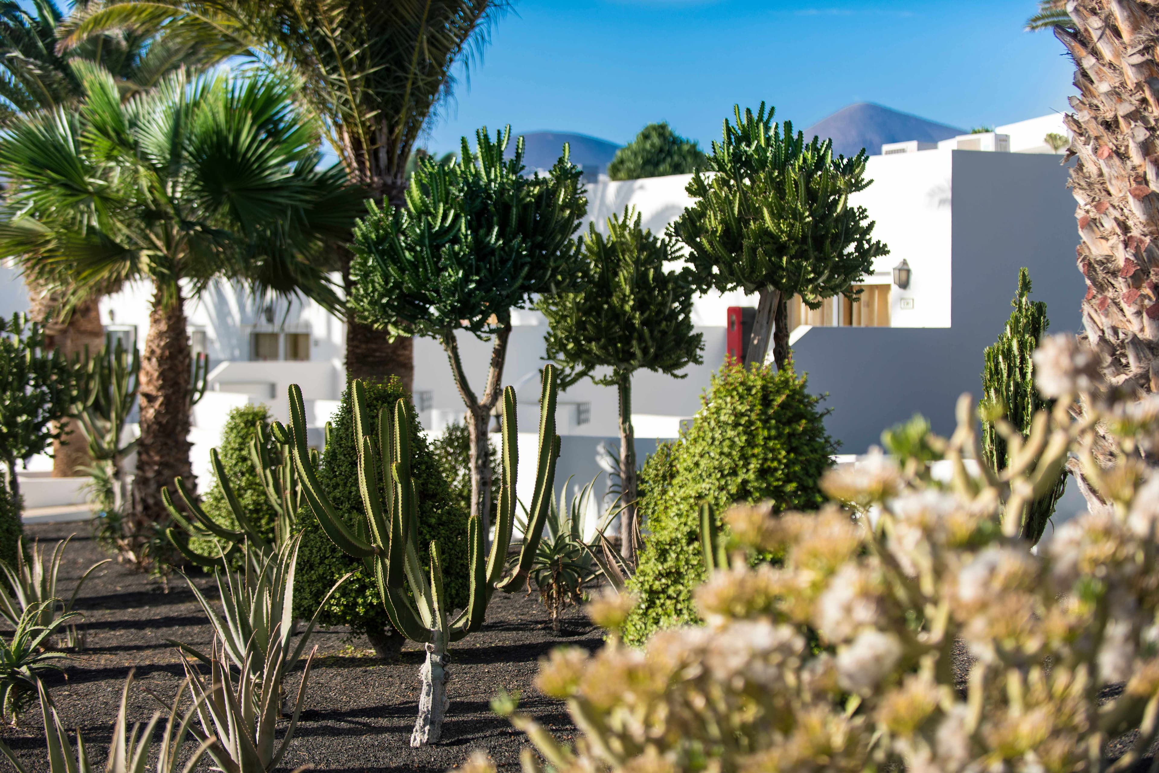 Hotel Floresta Ansicht 2