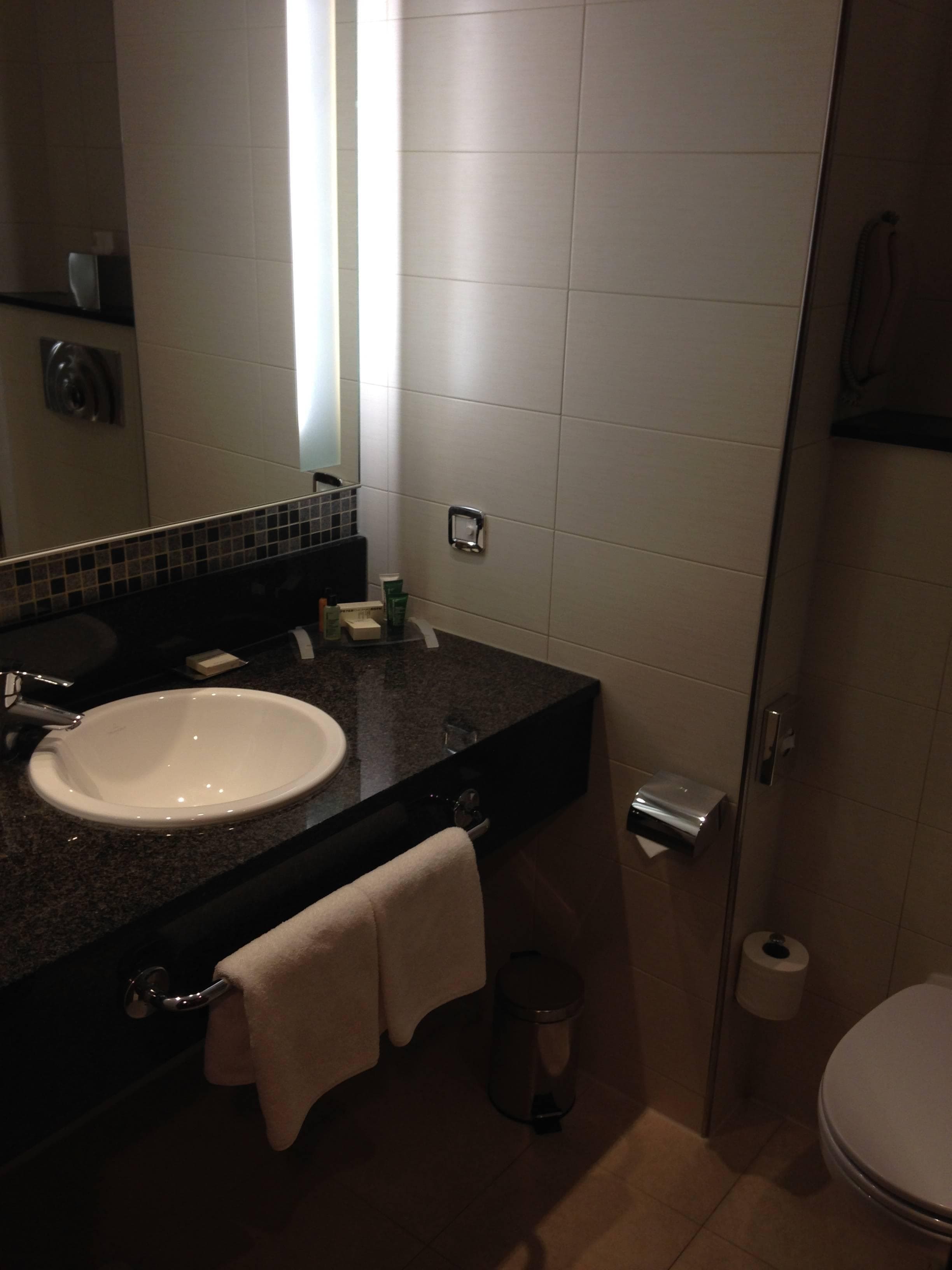 Hilton Reading Ansicht 9