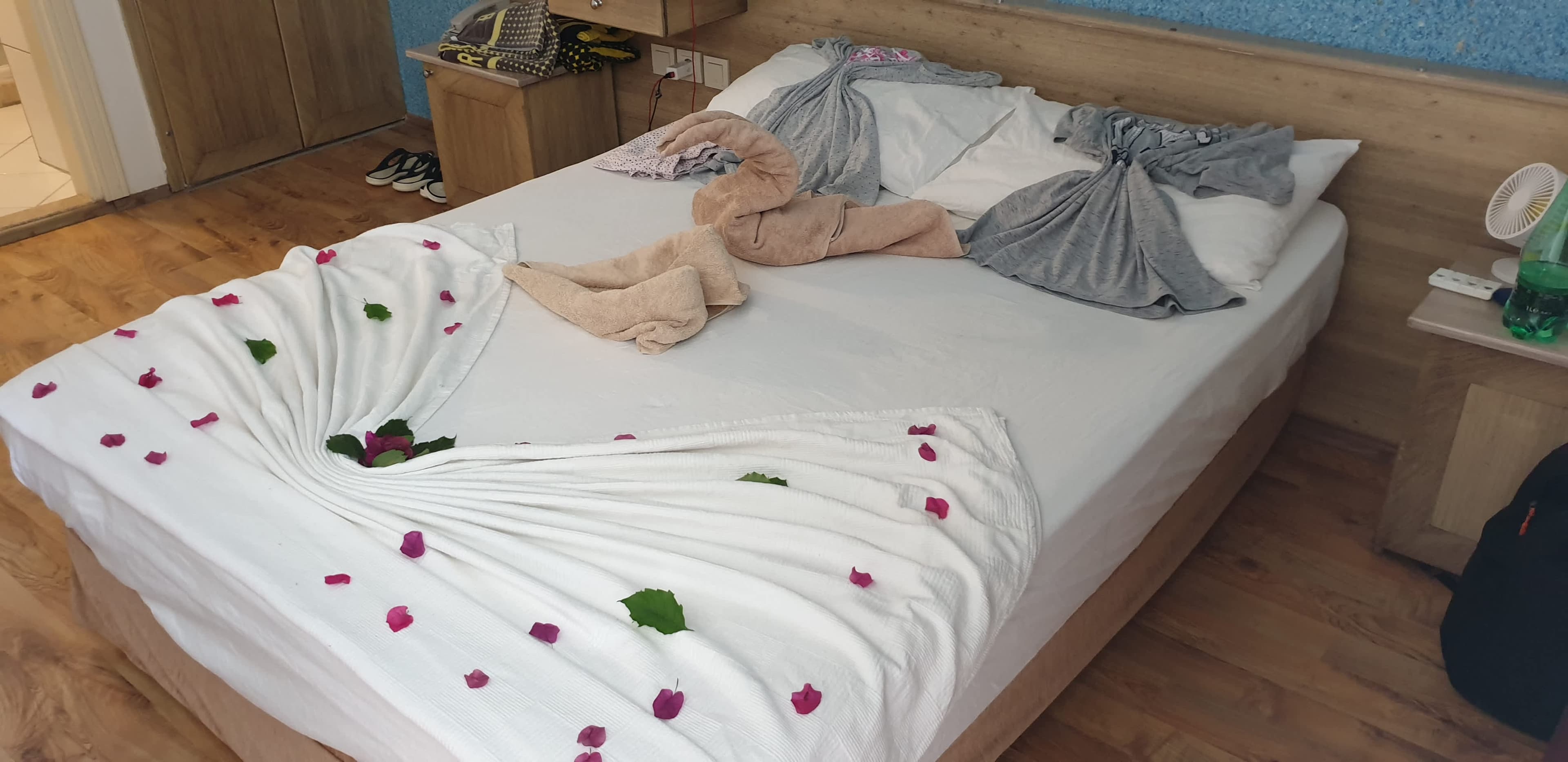 Hotel Golden Star Ansicht 4