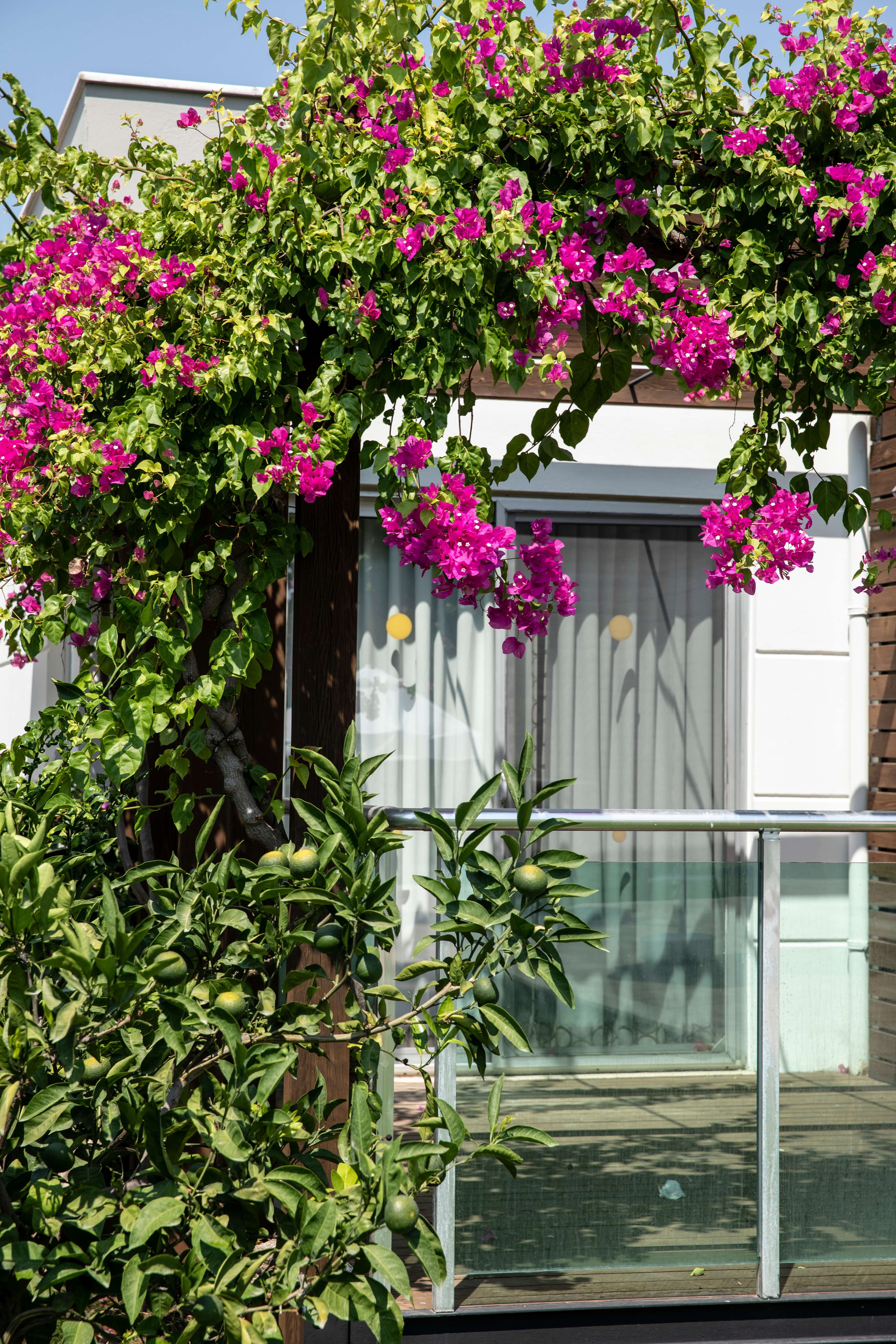 Green Garden Resort & Spa Hotel Ansicht 4