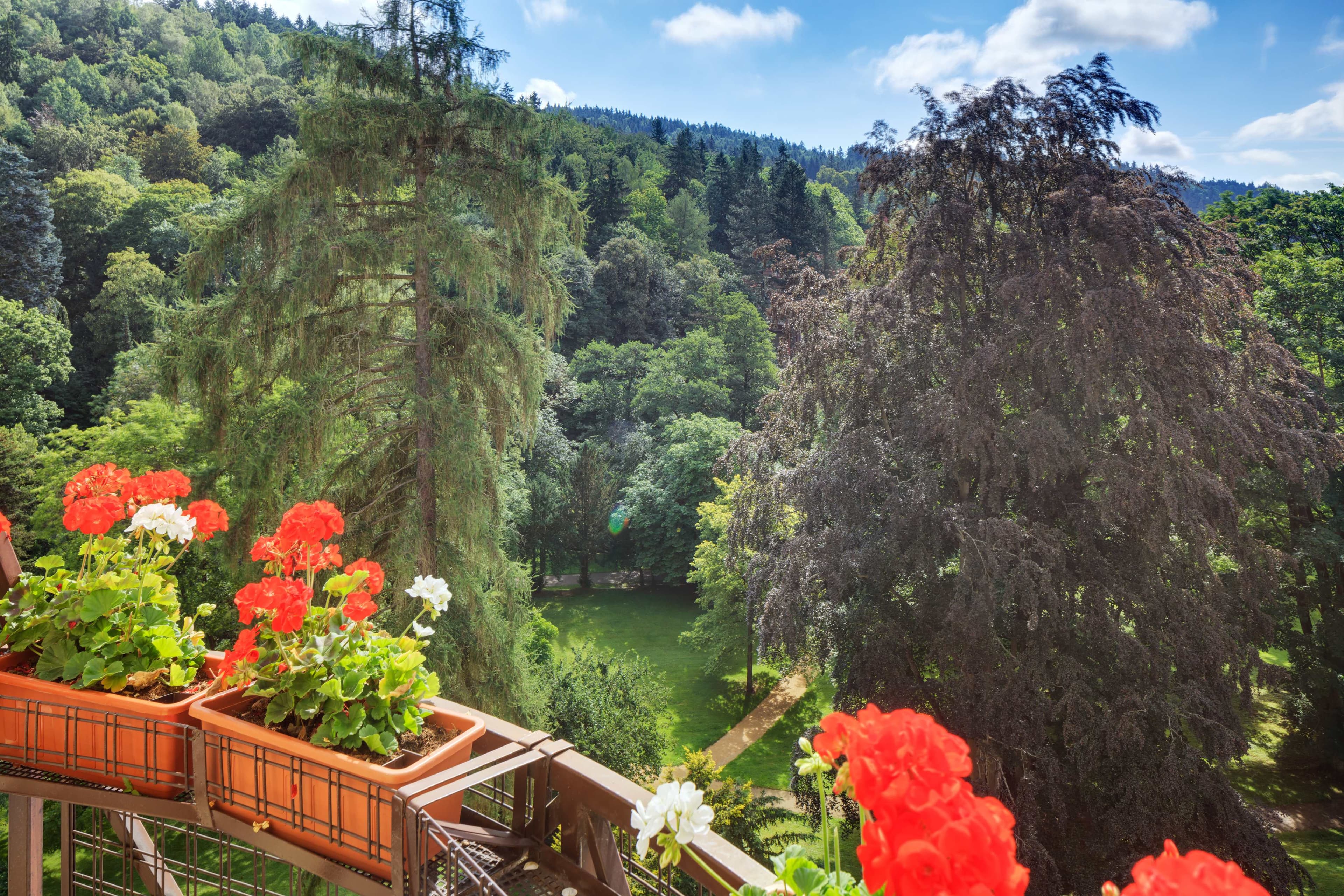 Butterfly Ensana Health Spa Hotel Ansicht 9
