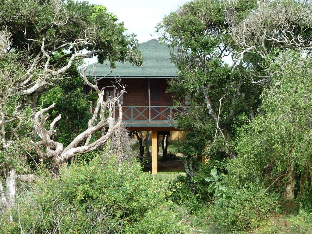 Hotel Chaaya Wild Yala Ansicht 2