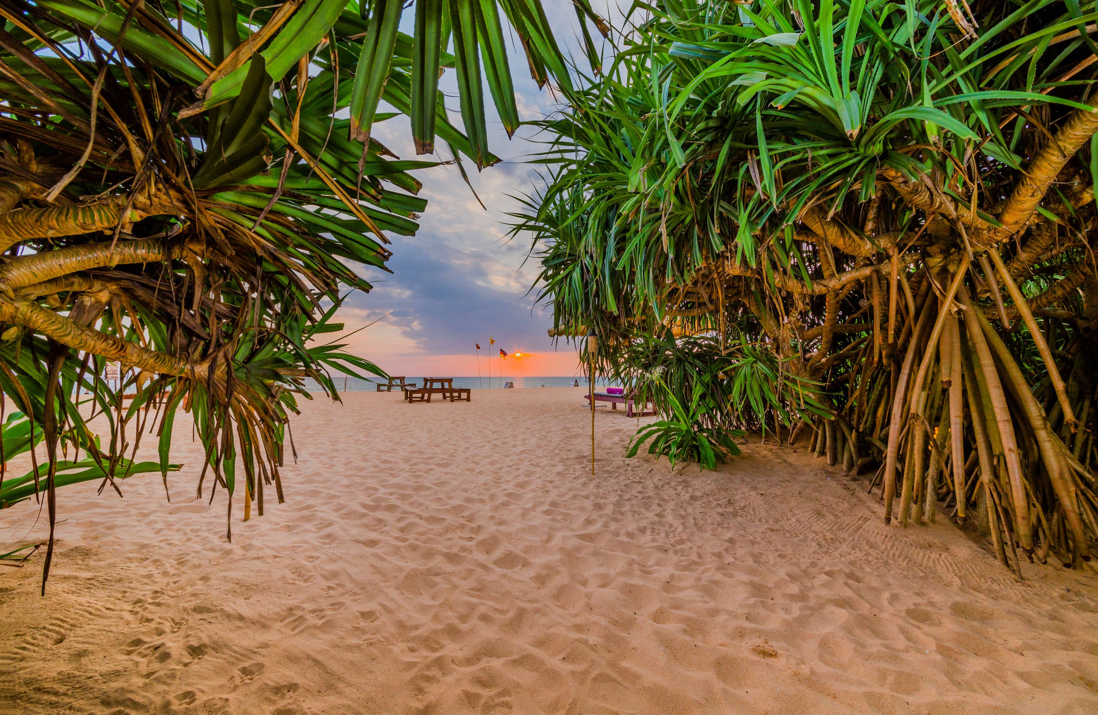 Jungle Beach Camp Ahungalla Ansicht 9