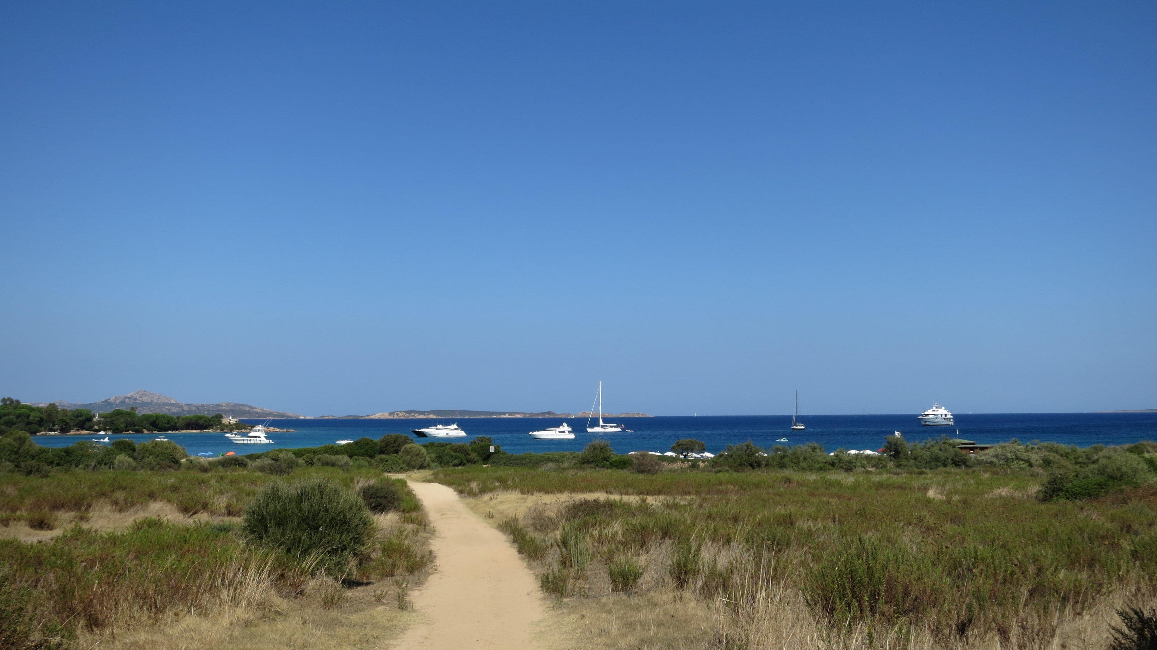Hotel Stelle Marine Ansicht 8