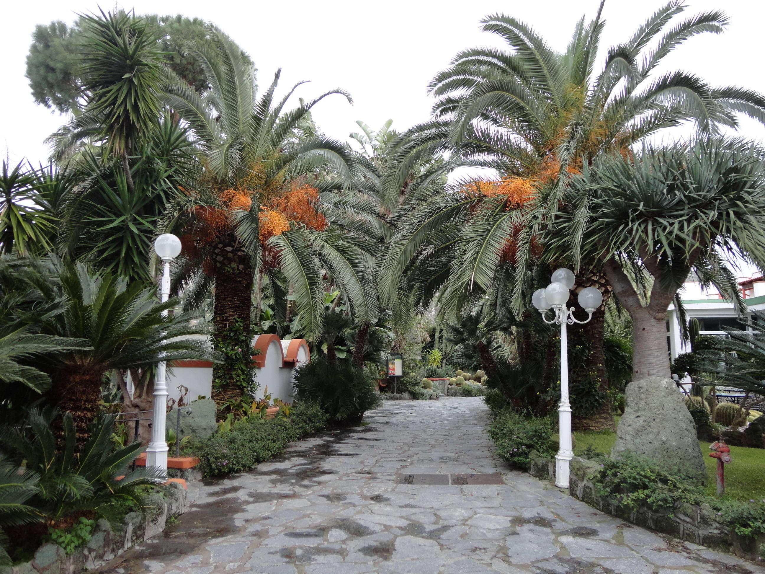 Park Hotel Terme Mediterraneo Ansicht 10
