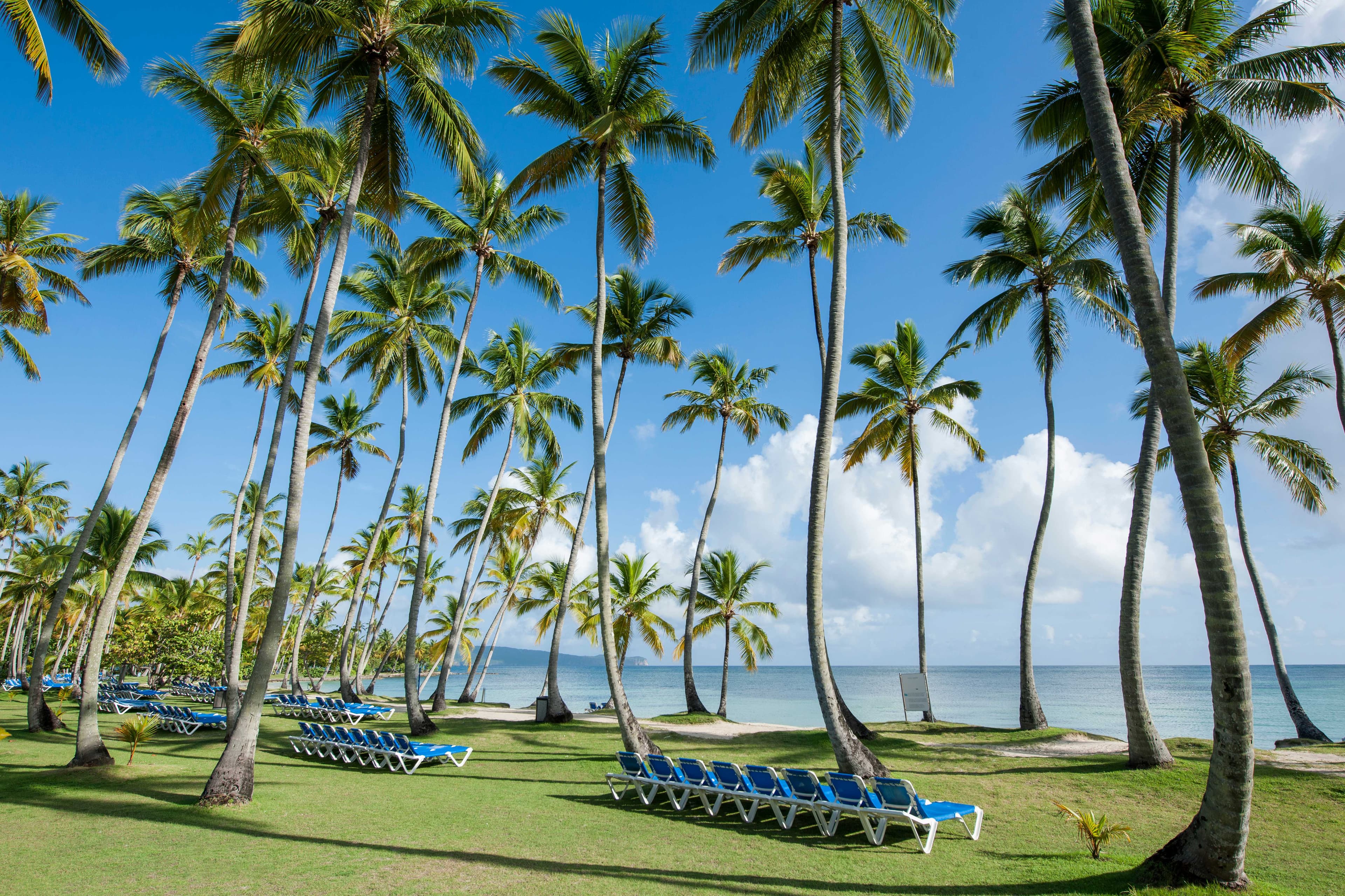 Wyndham Alltra Samana