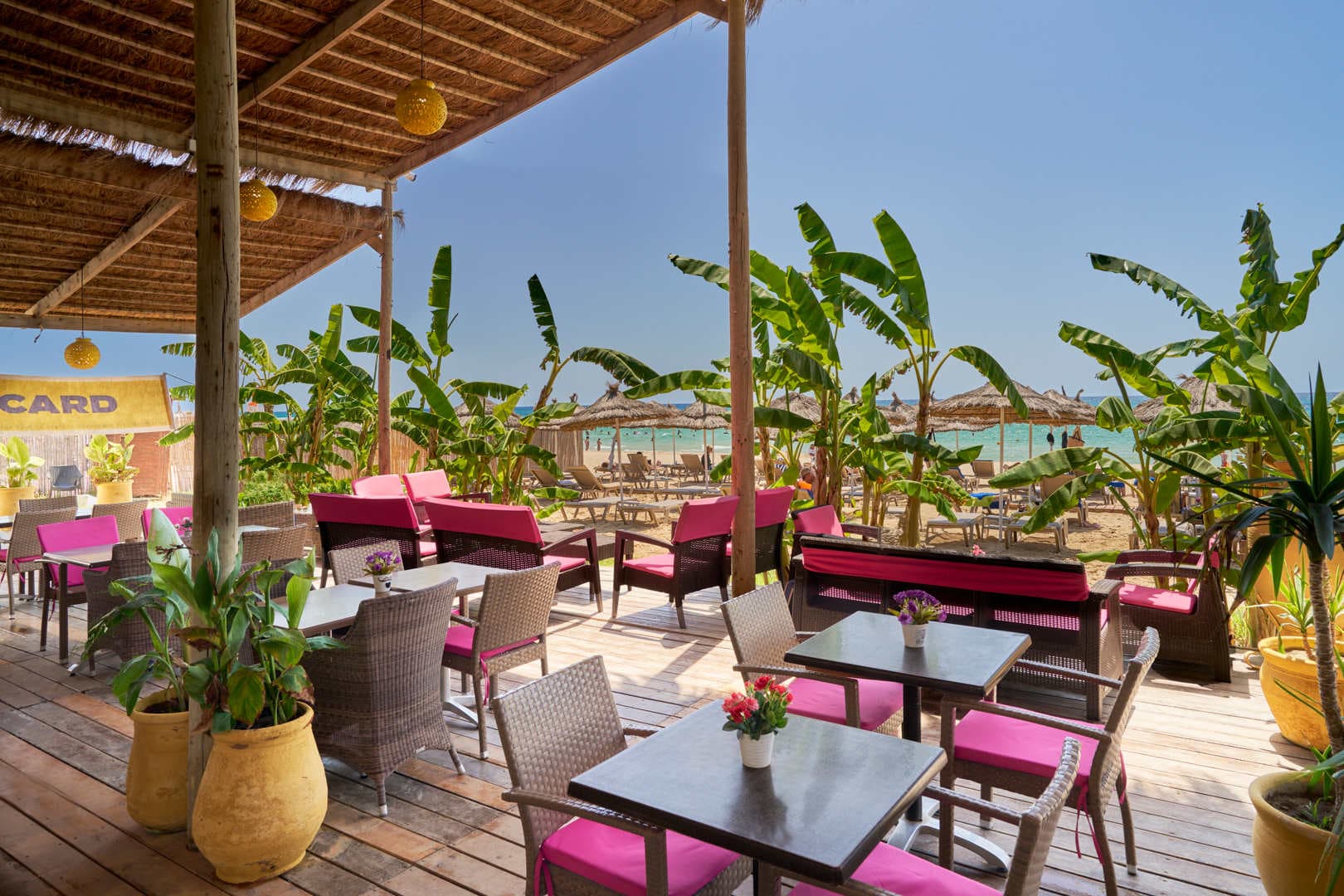 Hotel Royal Nozha Ansicht 7