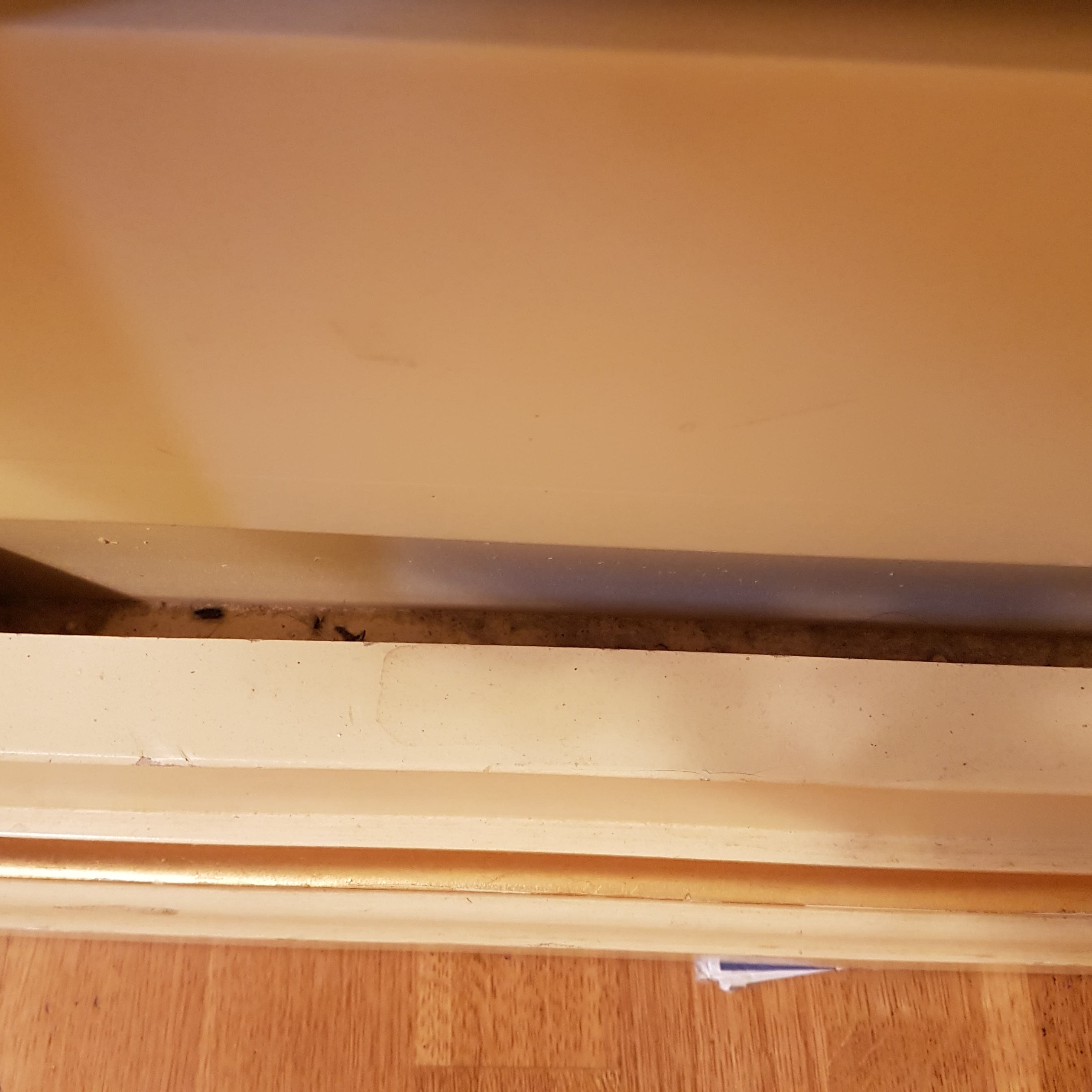 Hotel Malibran Ansicht 4