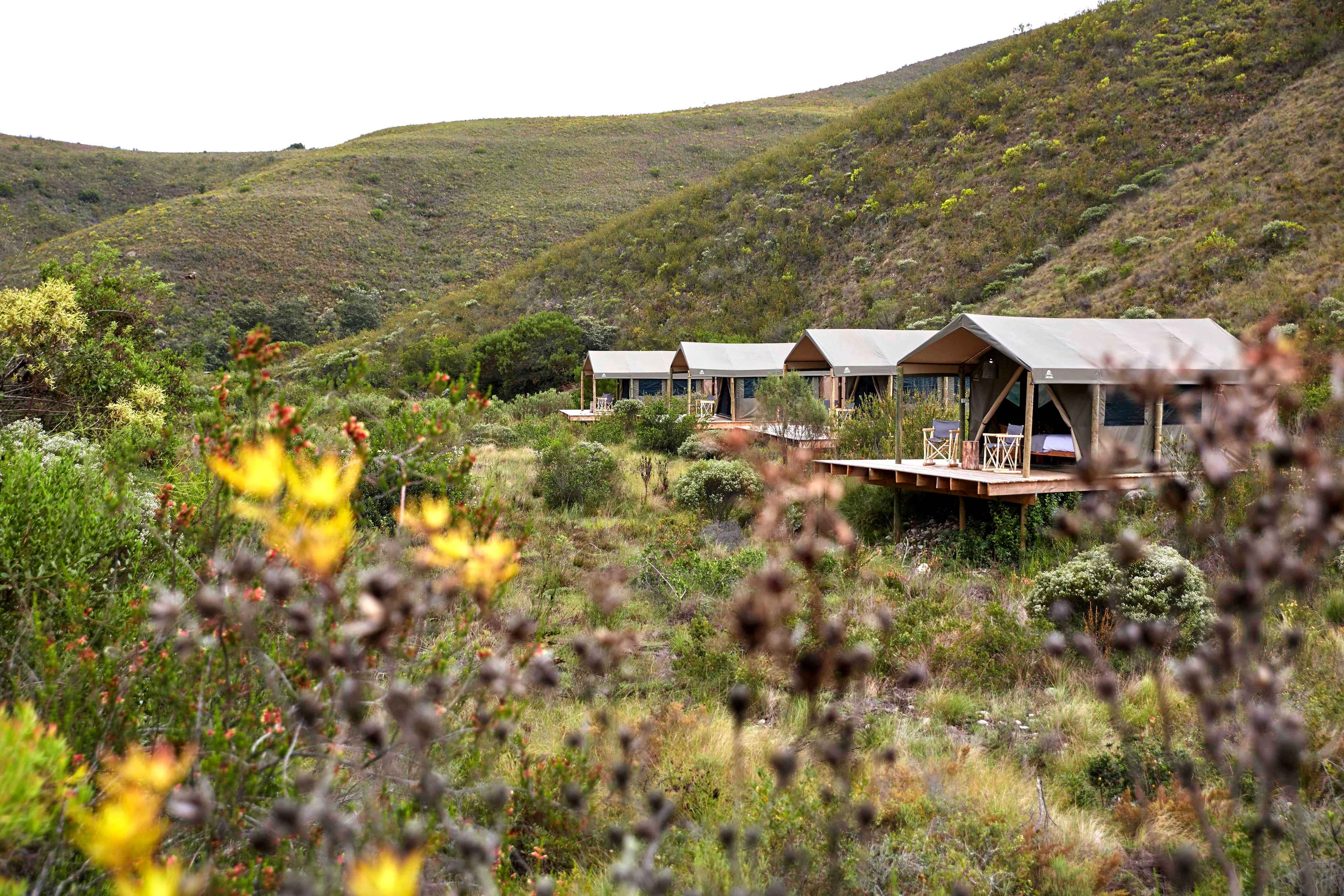 Gondwana Game Reserve Ansicht 7