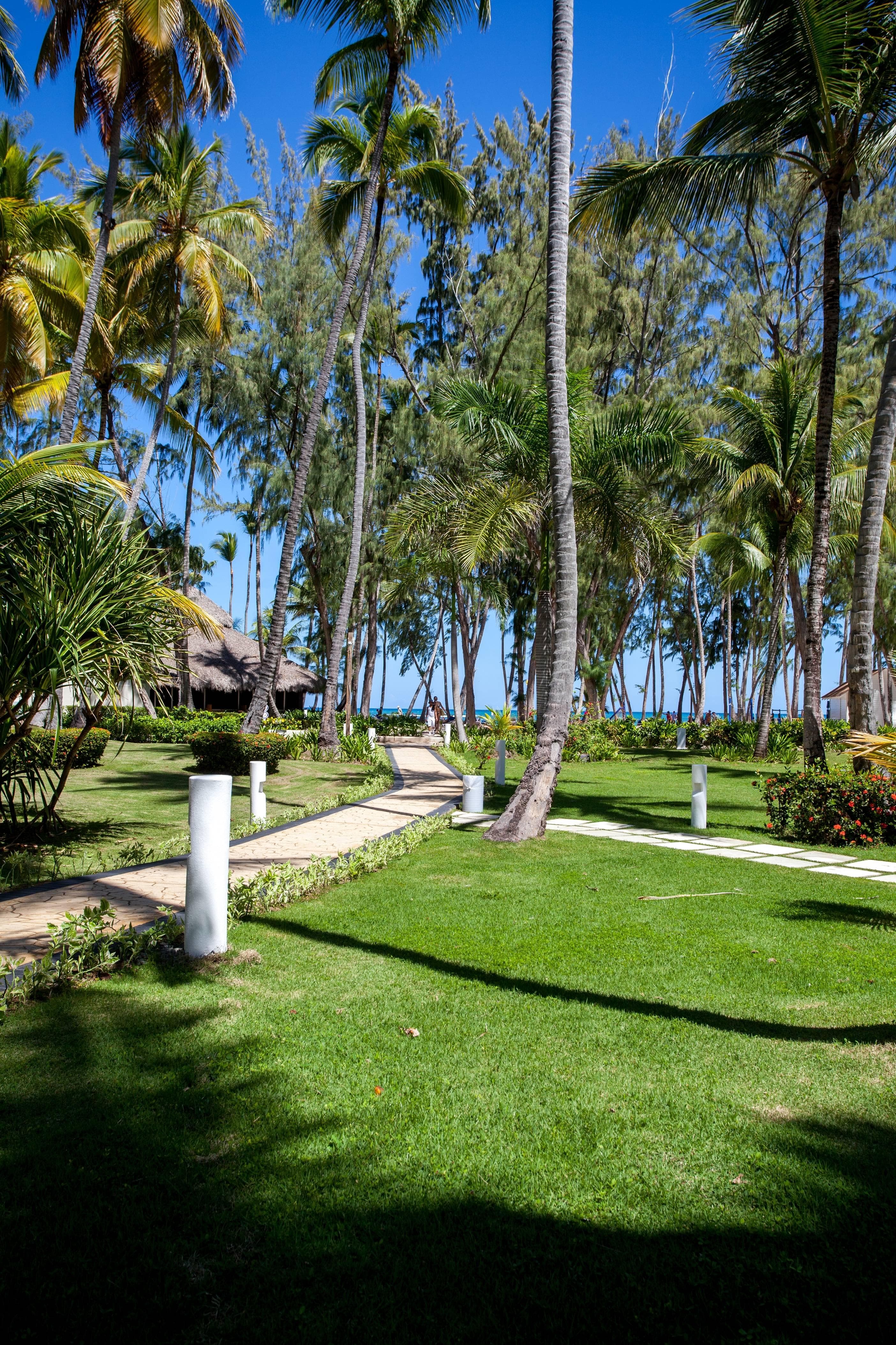 Vista Sol Punta Cana Ansicht 10