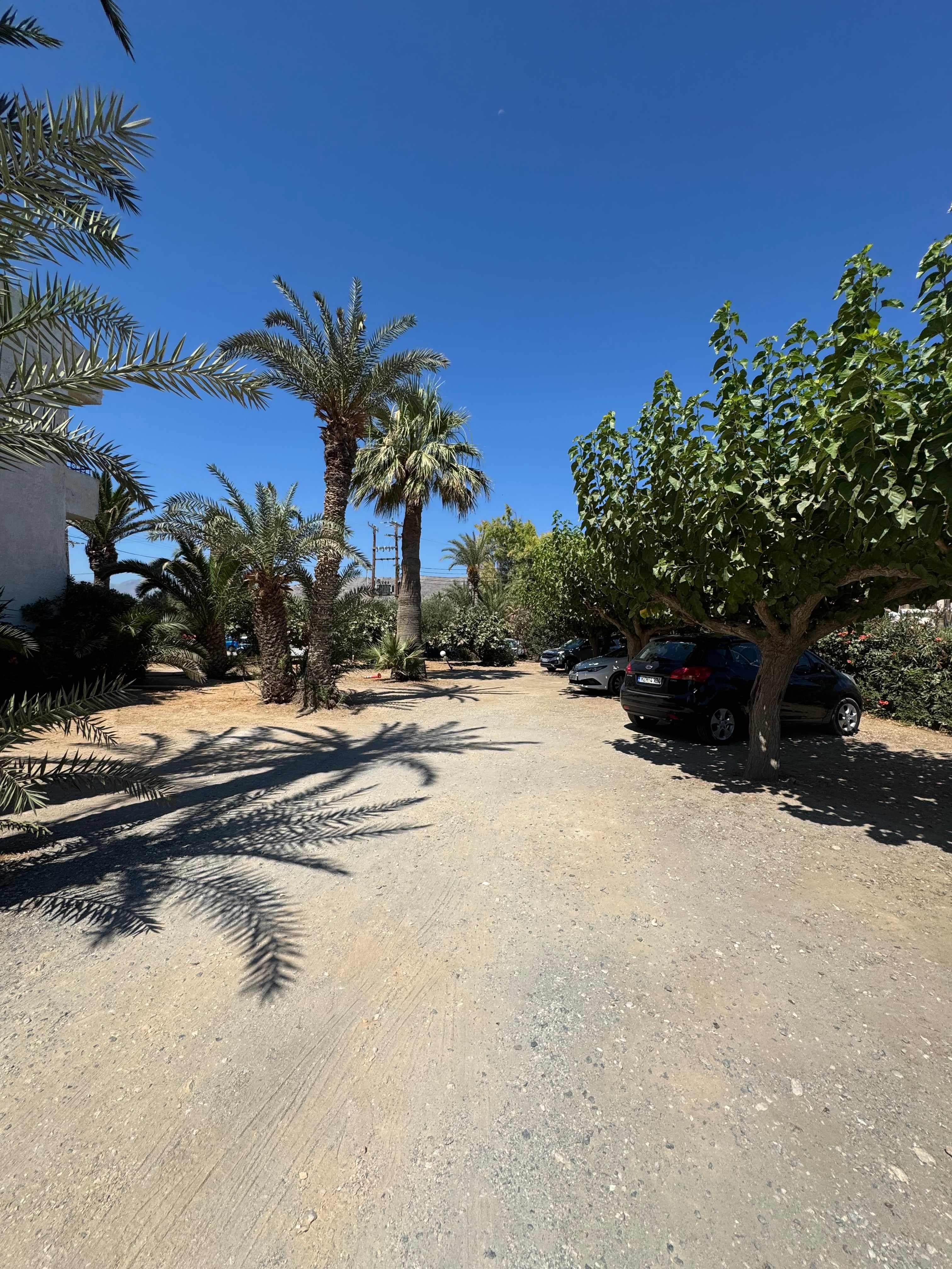 Hotel Gorgona Ansicht 2