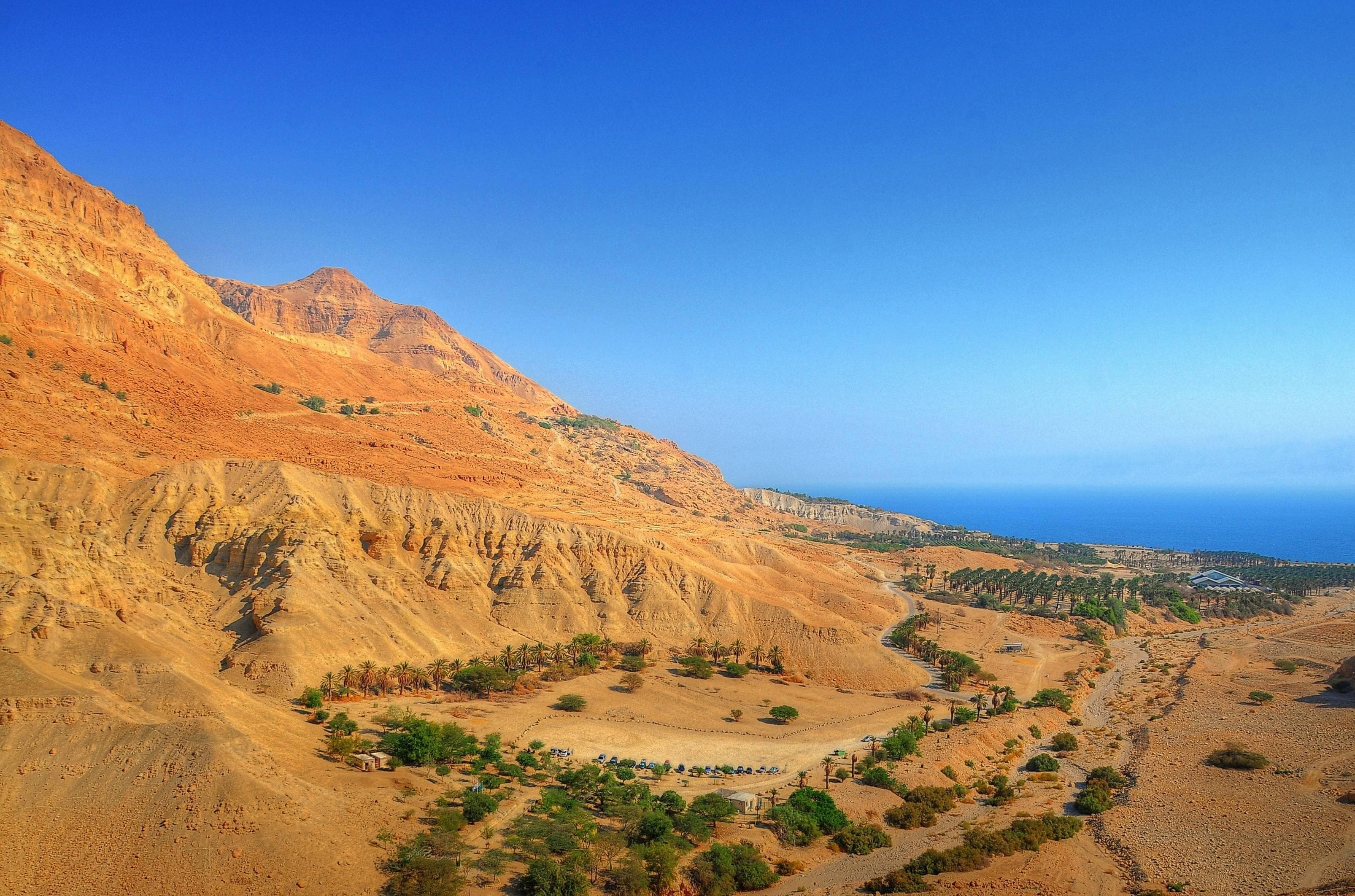 Ein Gedi Kibbutz Hotel Ansicht 3