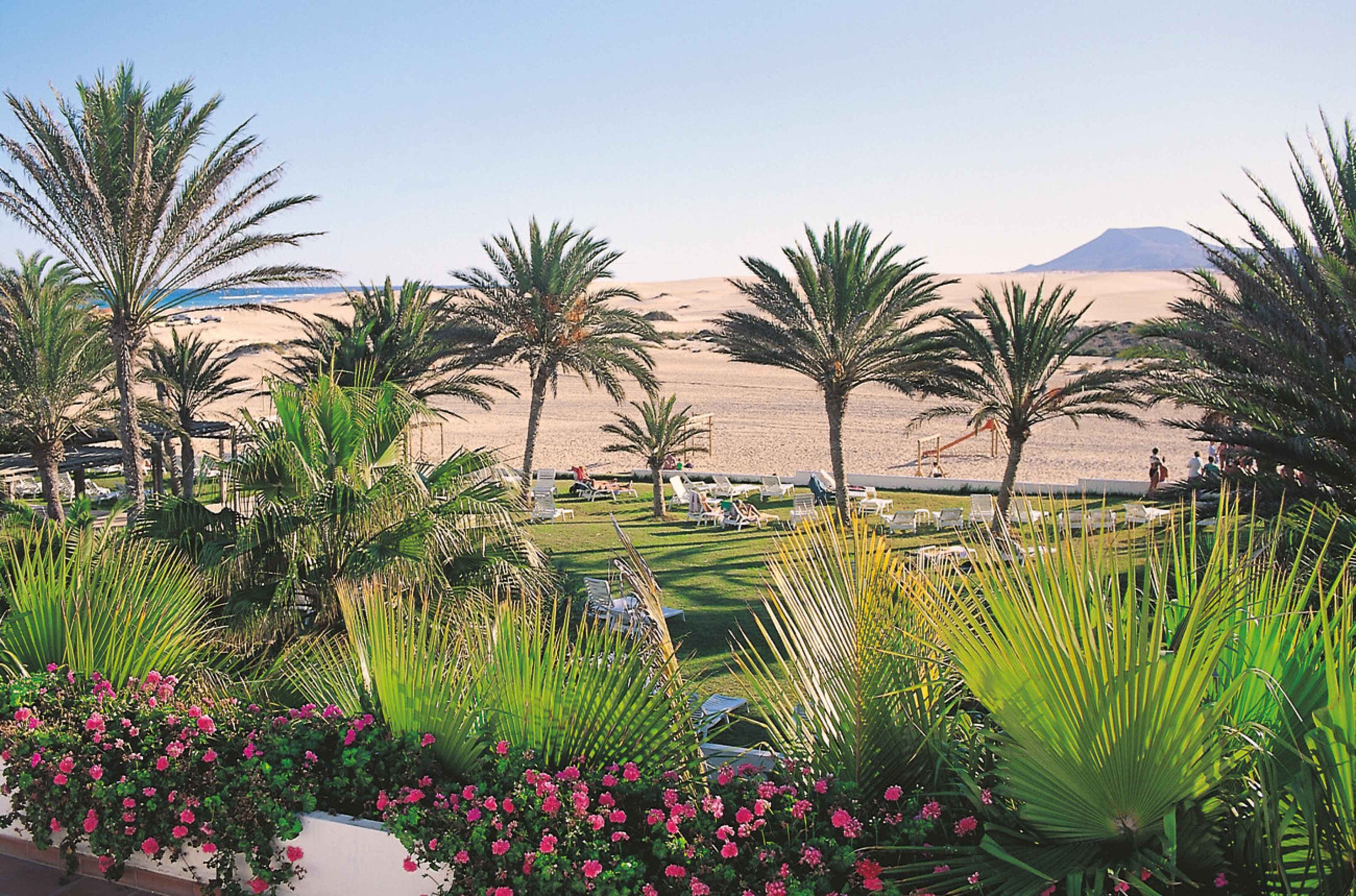 TUI KIDS CLUB Riu Oliva Beach Ansicht 3