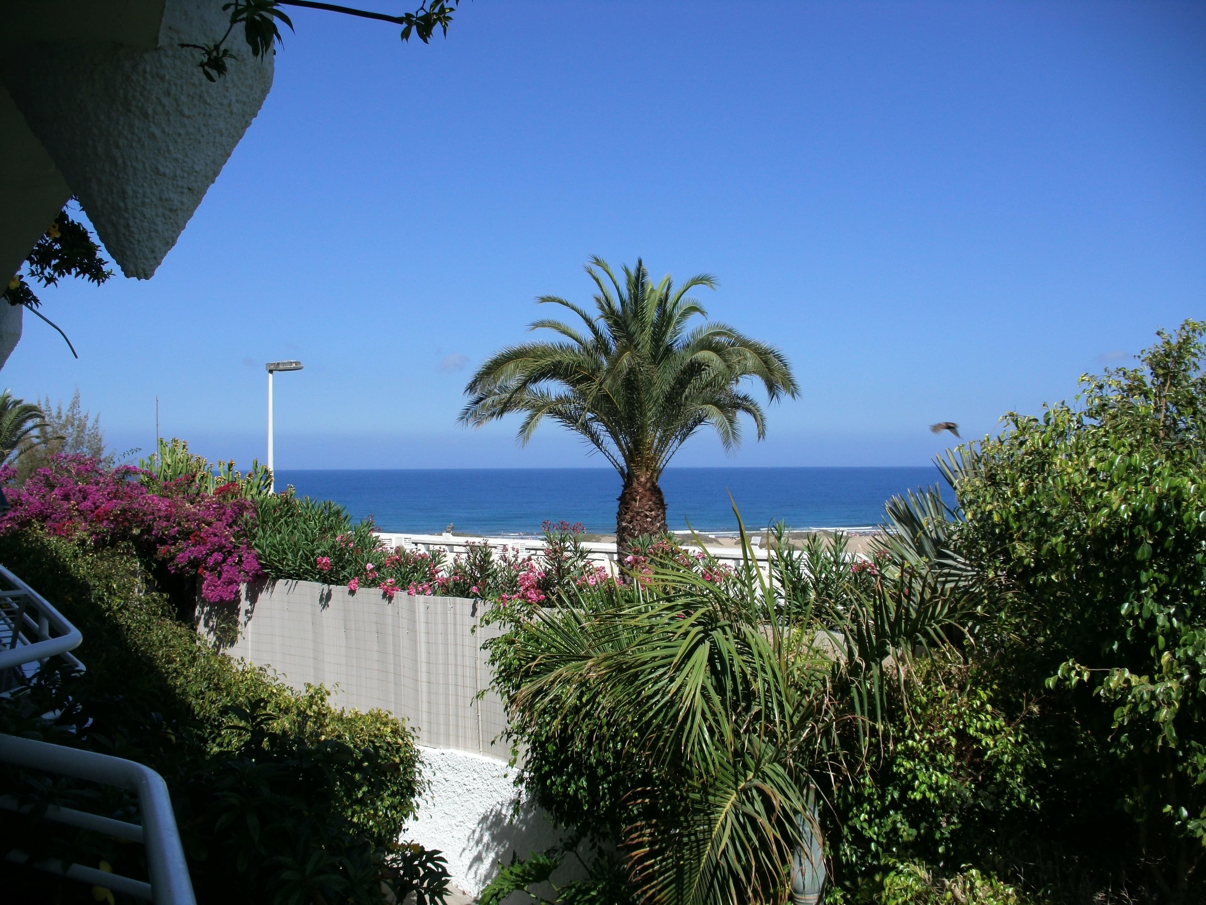 Hotel Taboga Ansicht 8