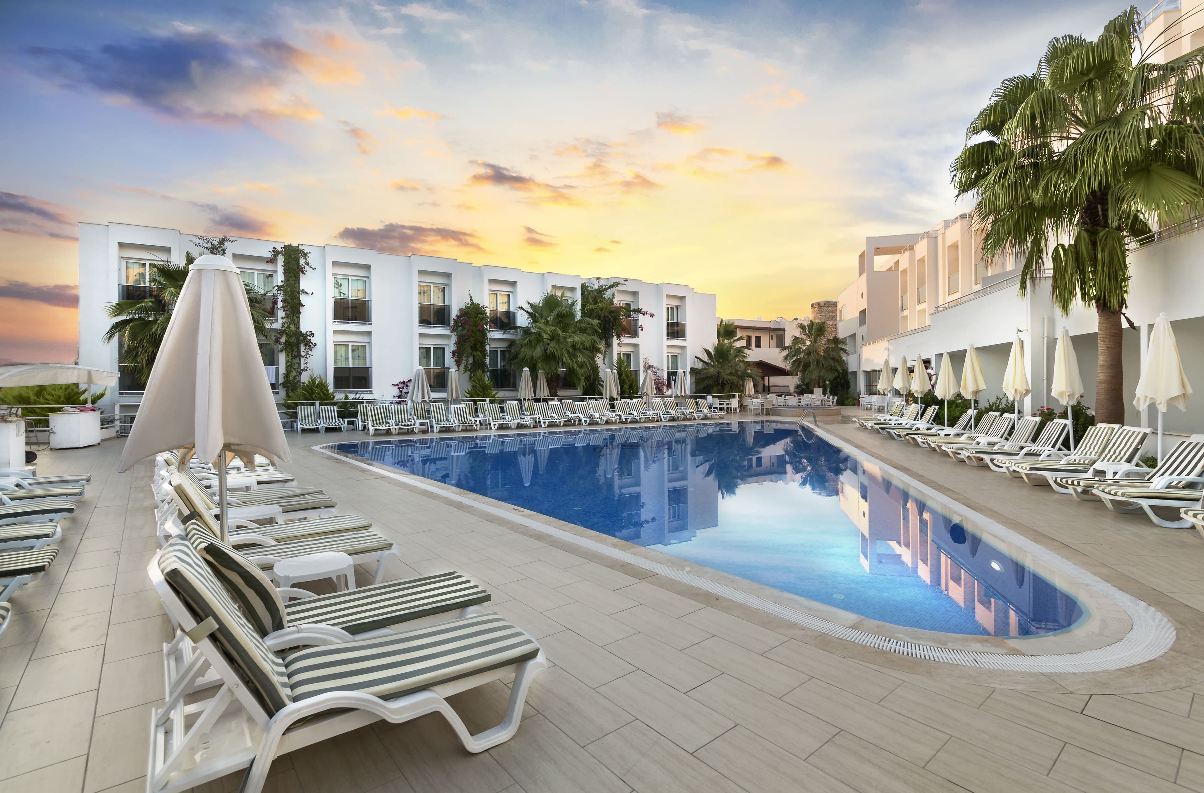Club Hotel Shark