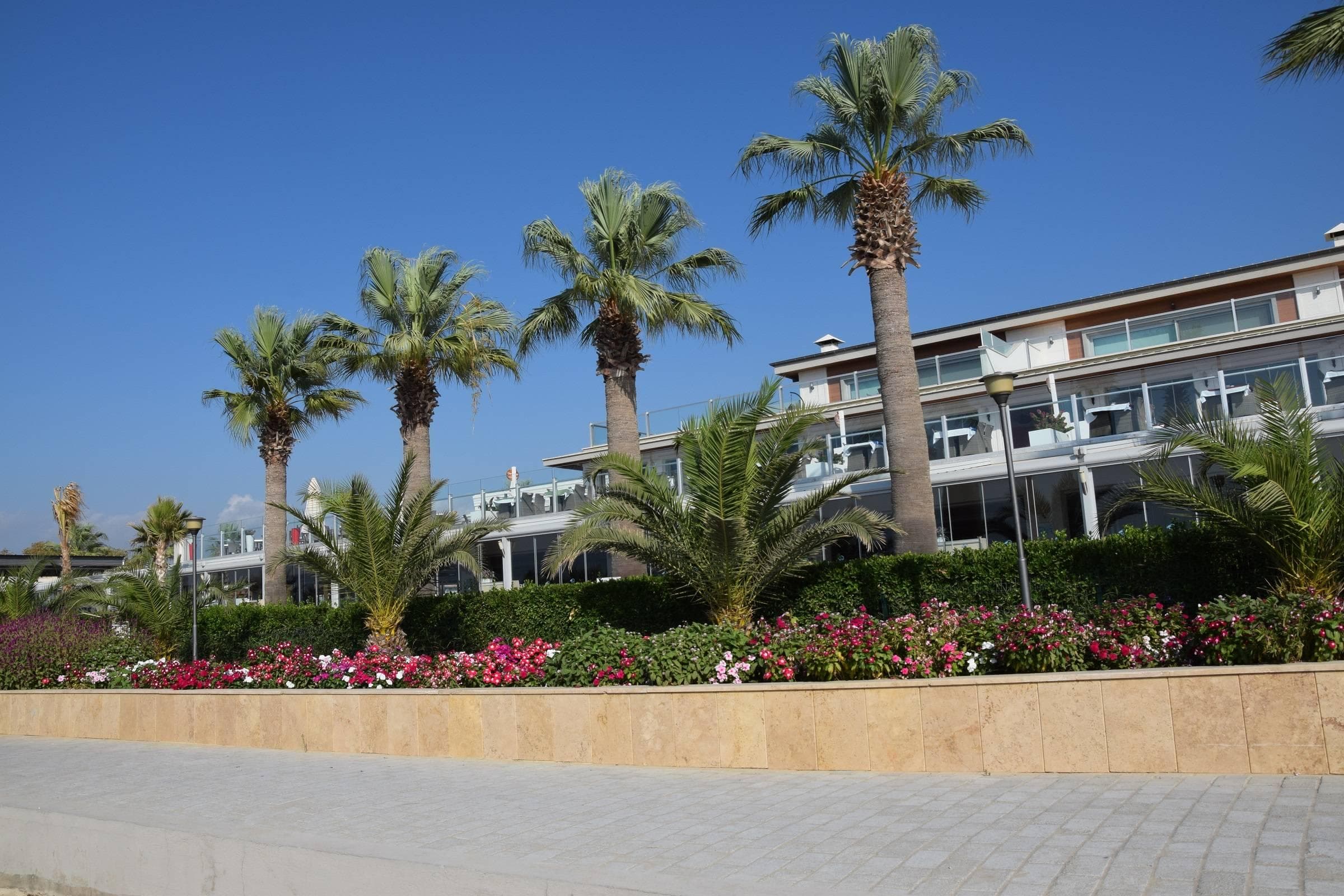 alltoura Club Hotel Palm Wings Beach Resort & Spa Kusadasi Ansicht 3