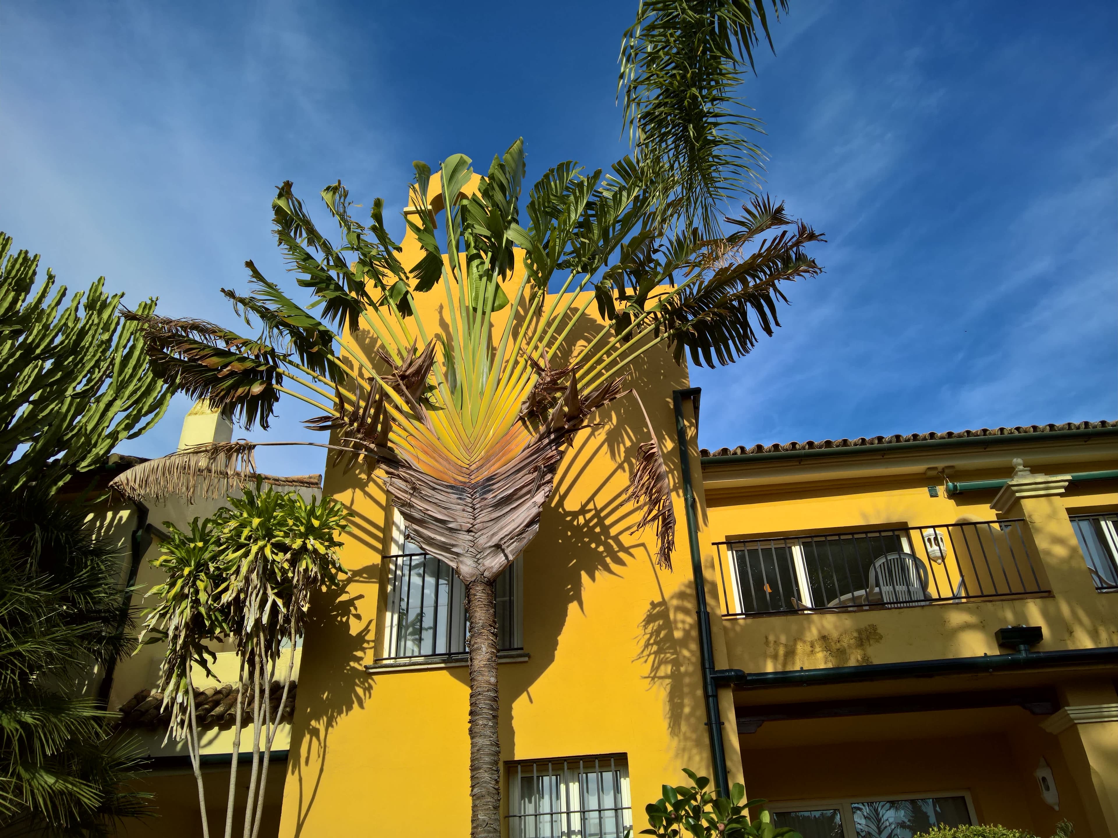 Hotel Soho Boutique Vistahermosa Ansicht 2