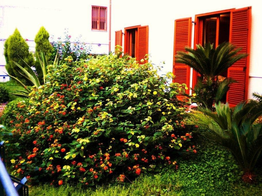 Hotel Diana Pompei Ansicht 7