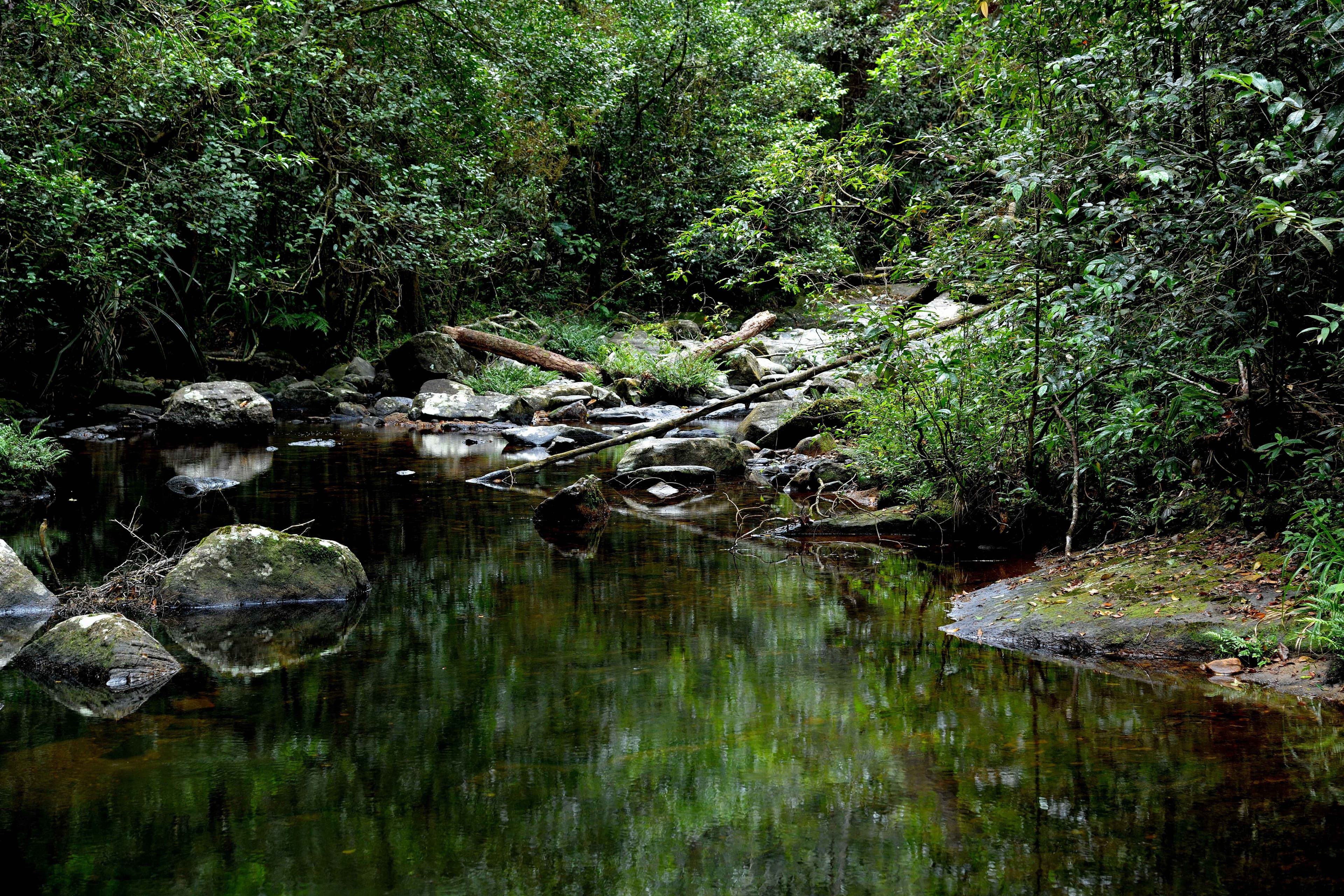 The Rainforest Ecolodge Ansicht 9