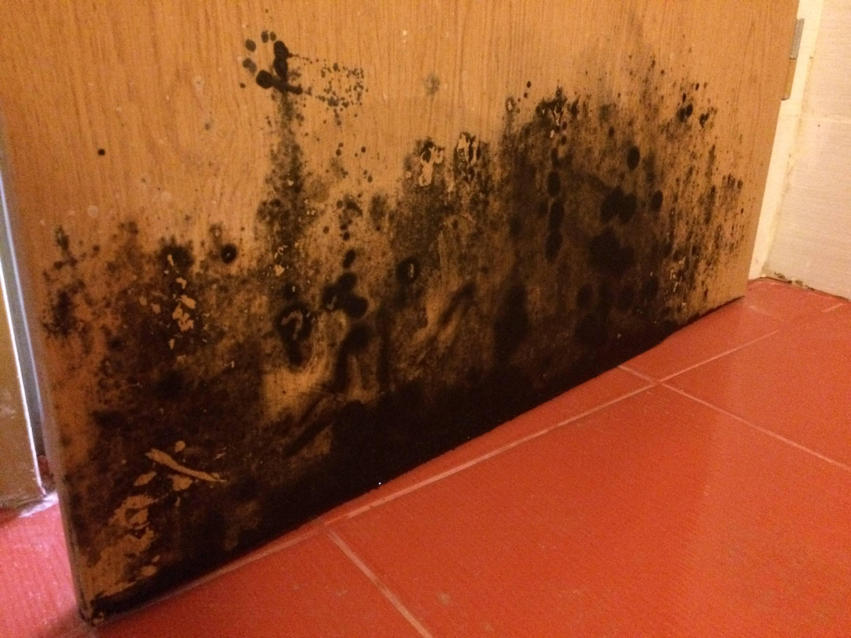 Hotel Jupiter Ansicht 4