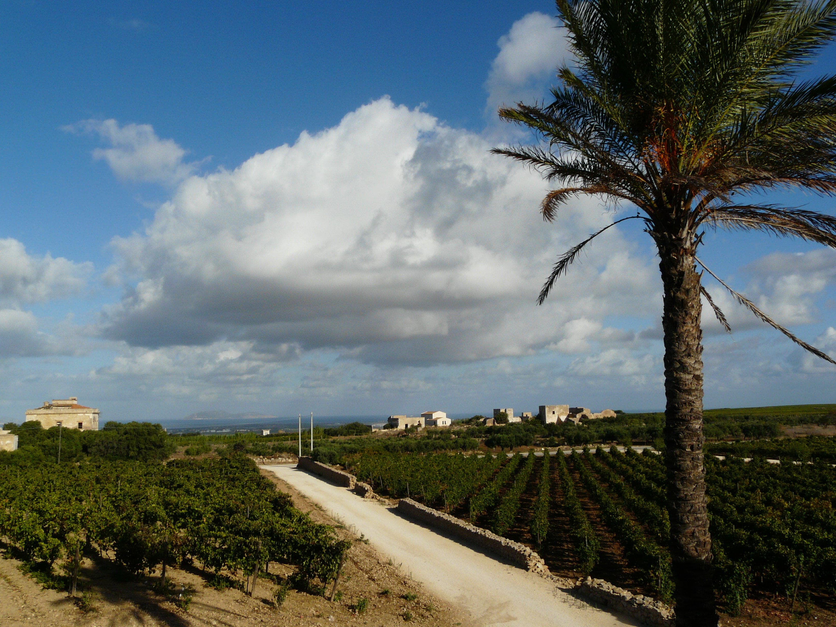 Agriturismo Baglio Donnafranca Wine Resort Ansicht 5