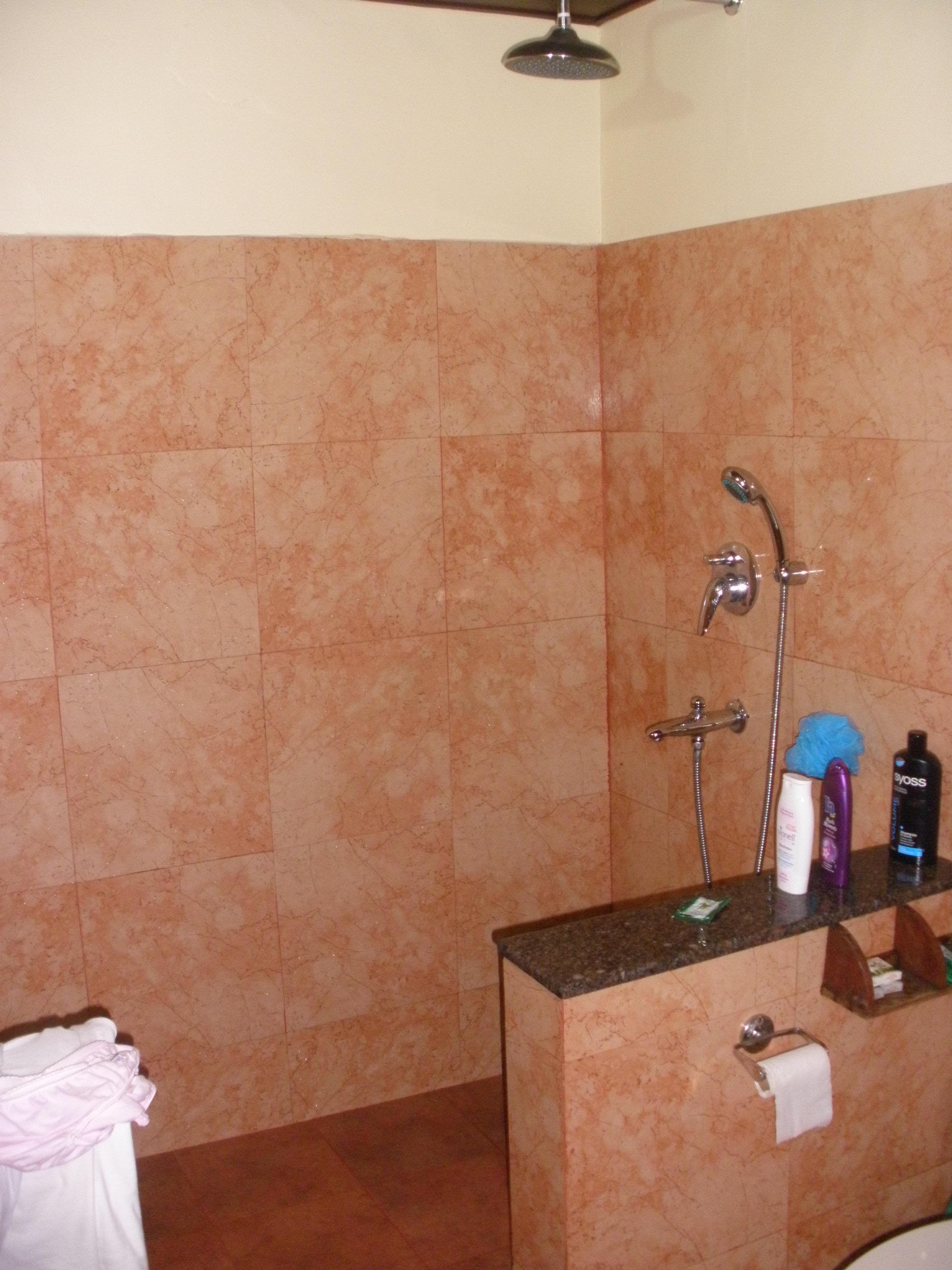 Somatheeram Ayurvedic Health Resort Ansicht 3
