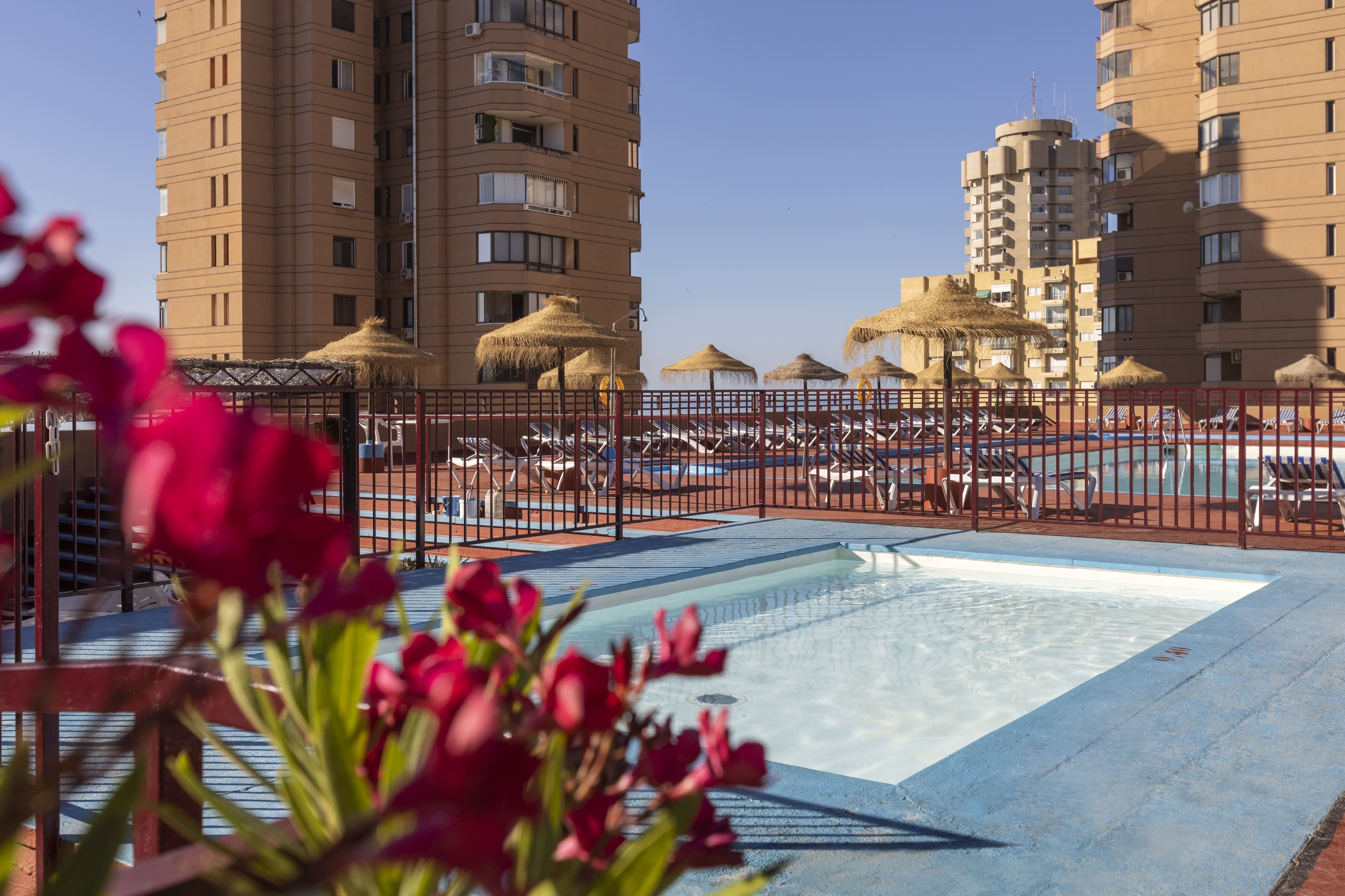 Las Palmeras Affiliated by FERGUS Ansicht 10