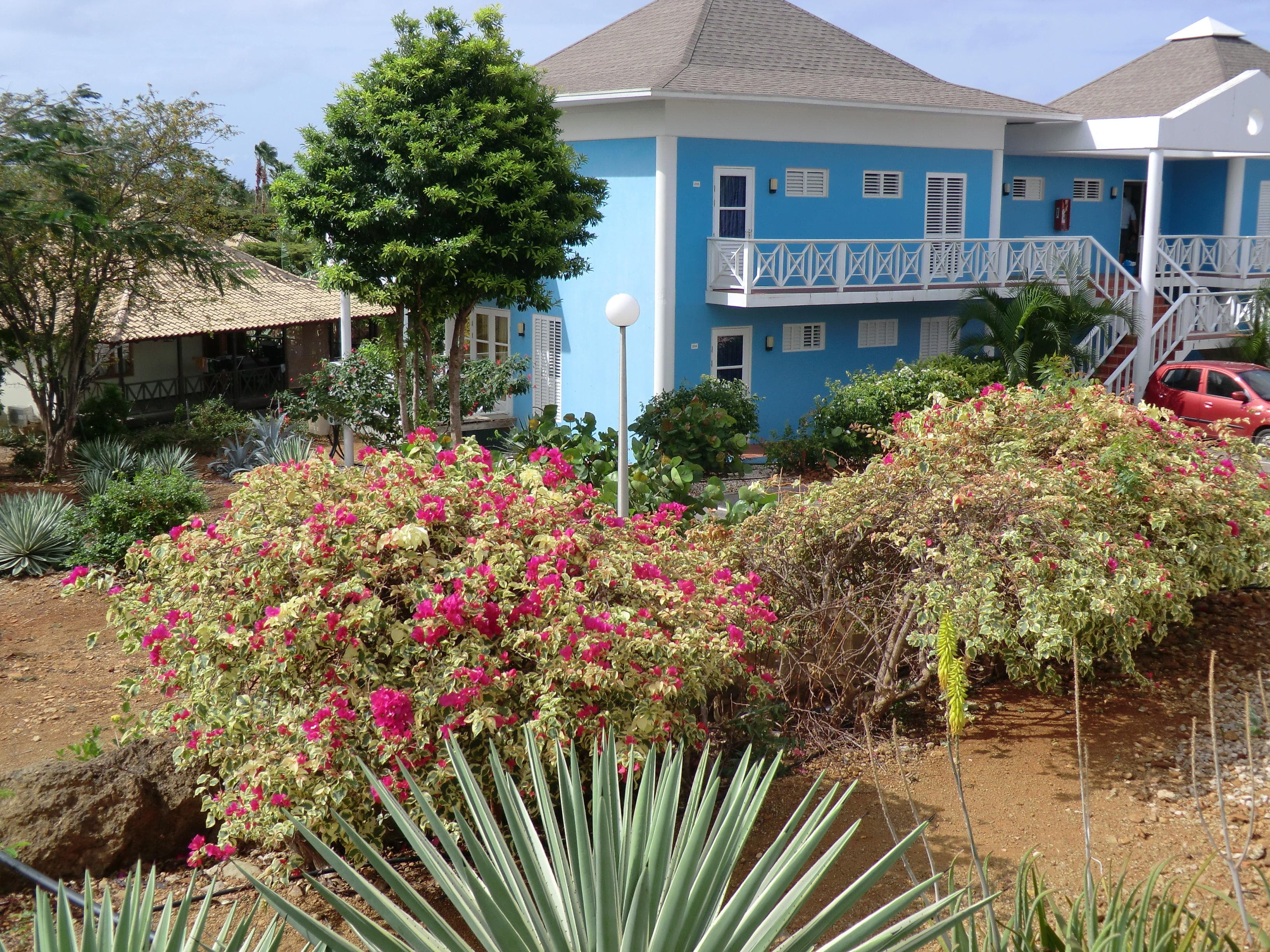 Chogogo Dive & Beach Resort Ansicht 2
