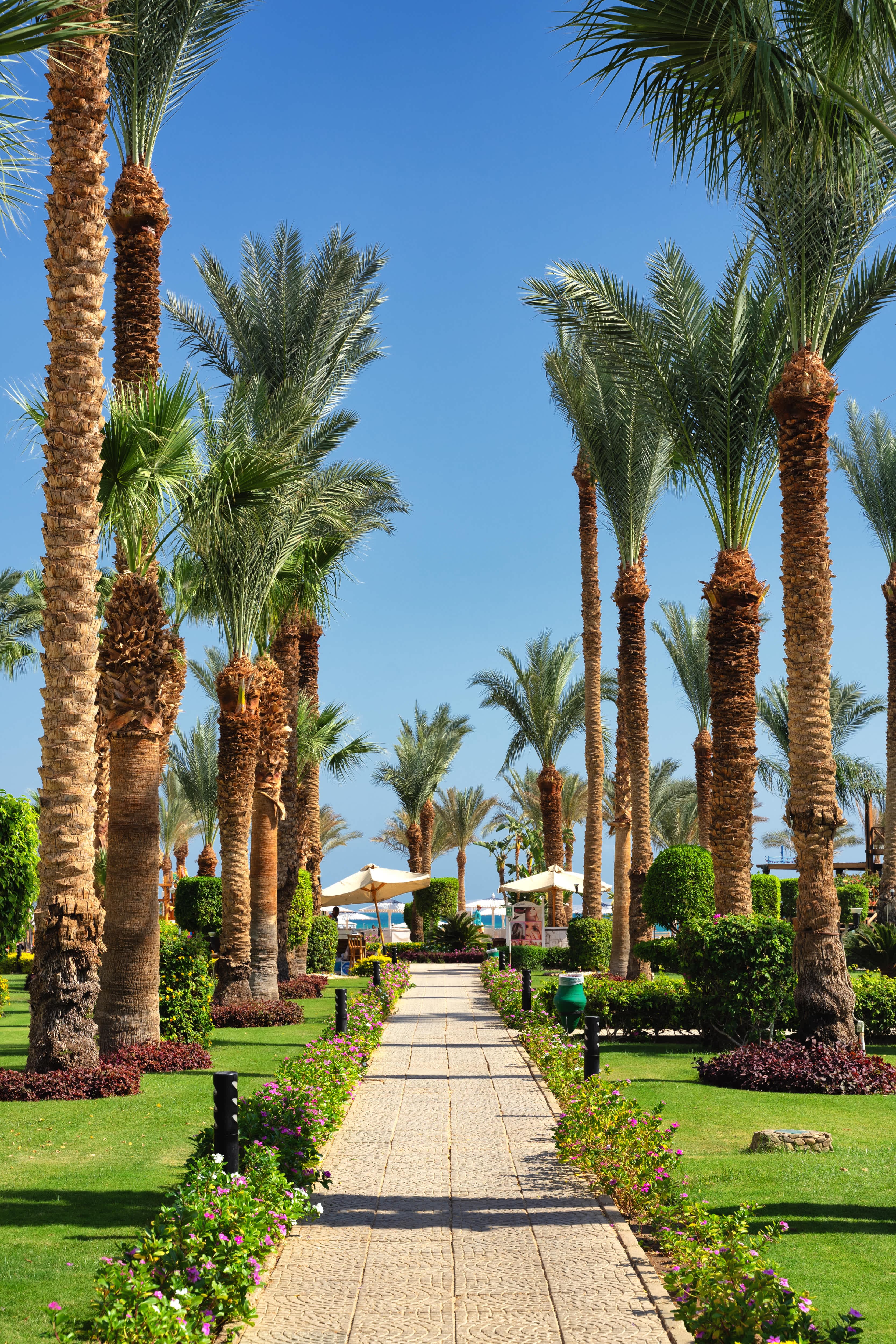Swiss Inn Resort Hurghada Ansicht 7