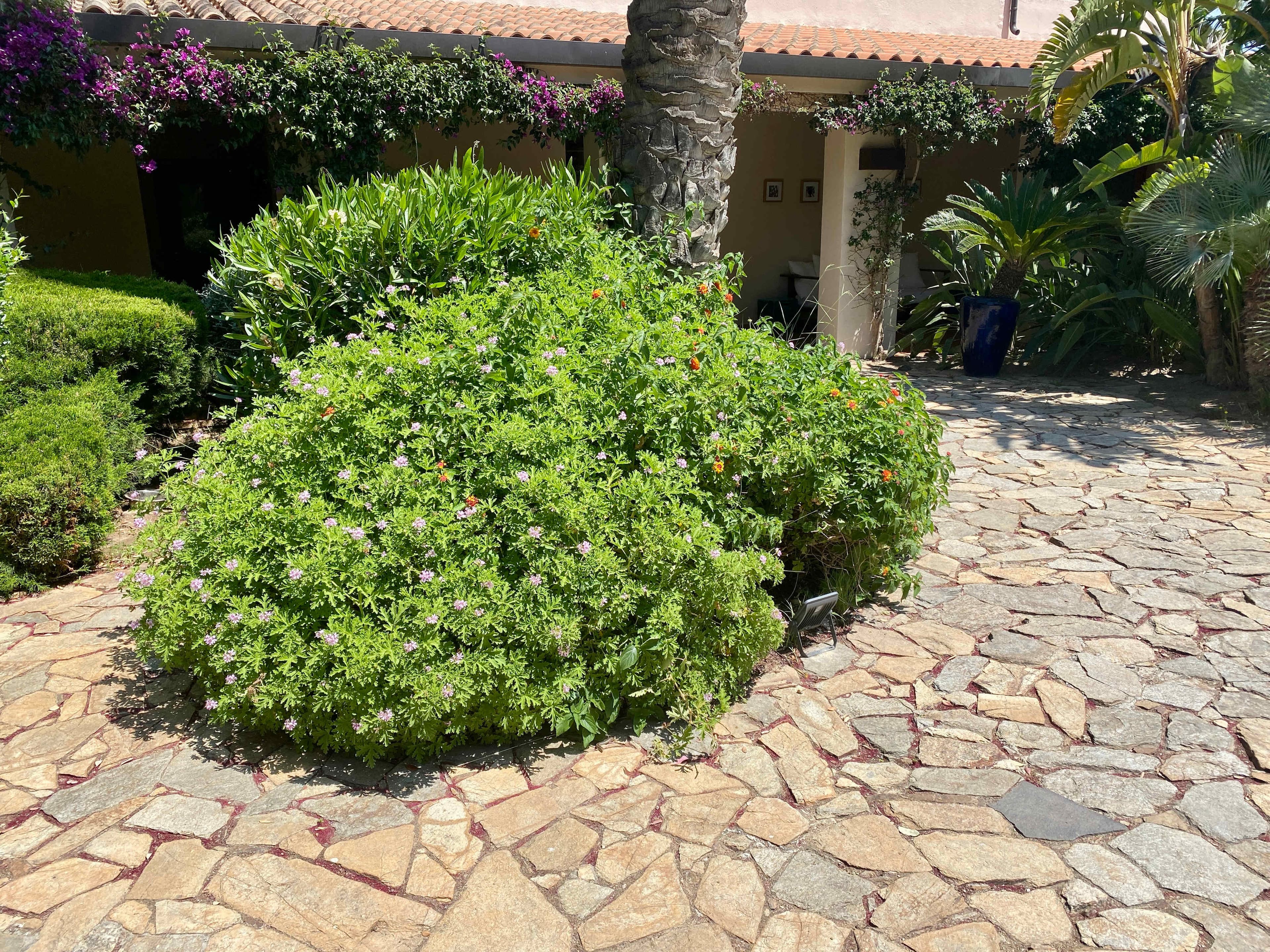 Hotel Aquadulci