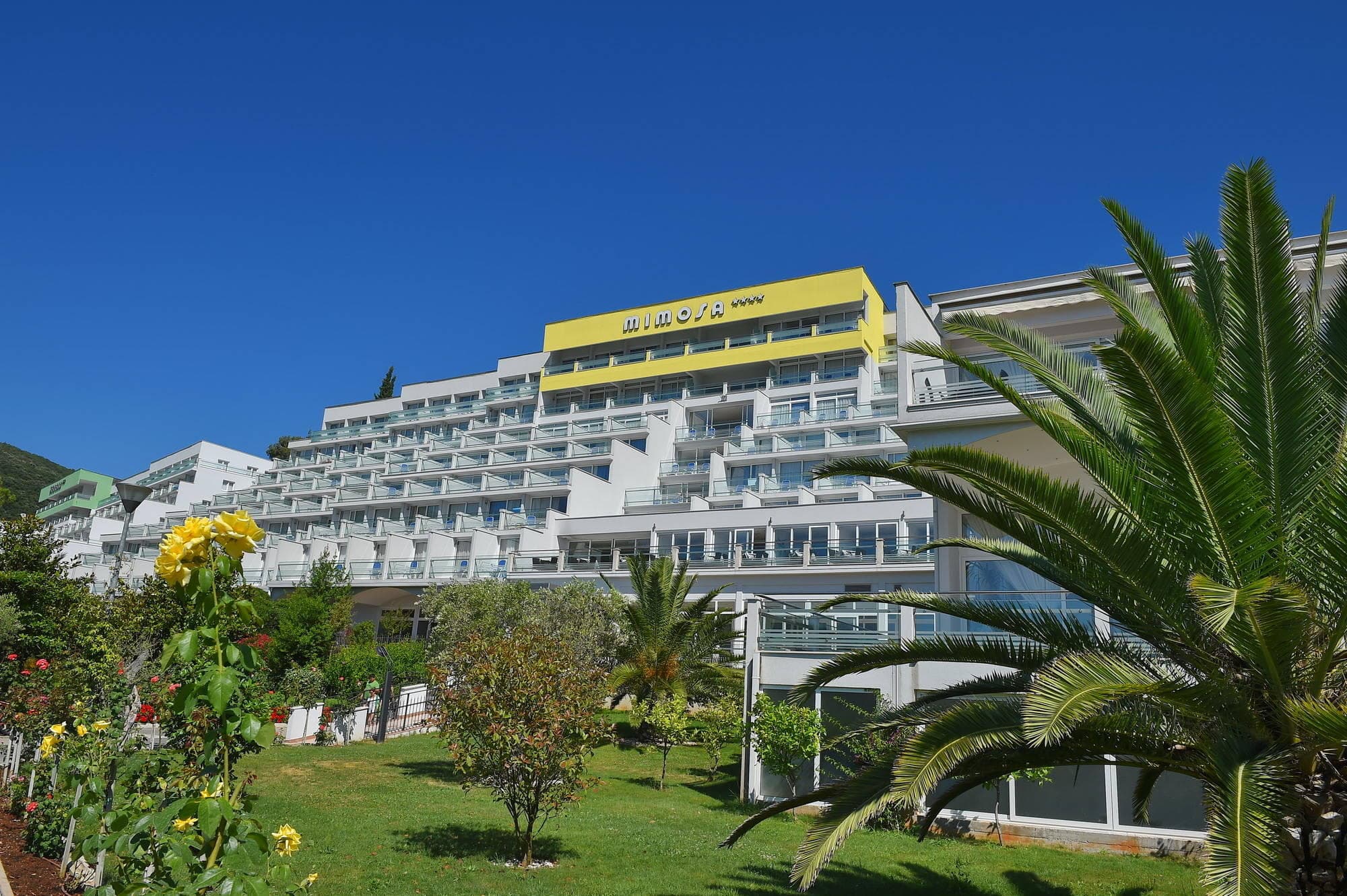 Mimosa Lido Palace Hotel Ansicht 2