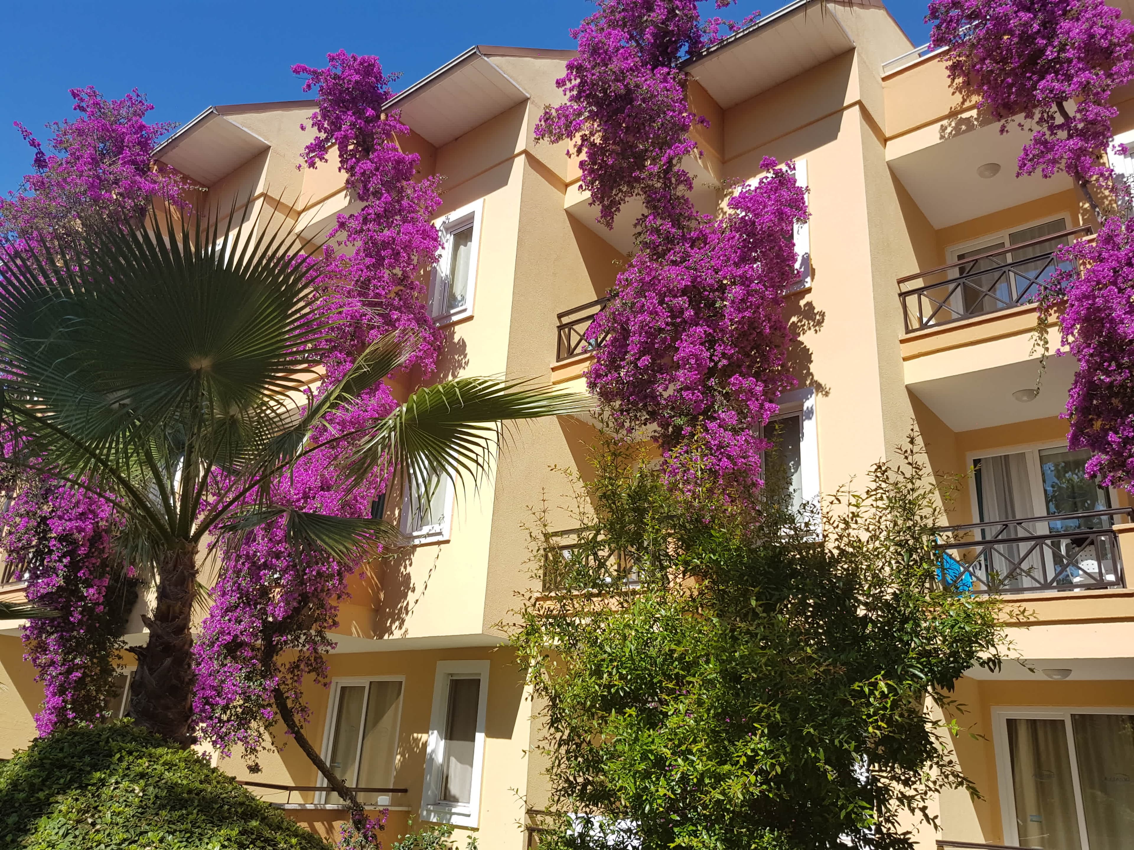 Club Dizalya Ansicht 3
