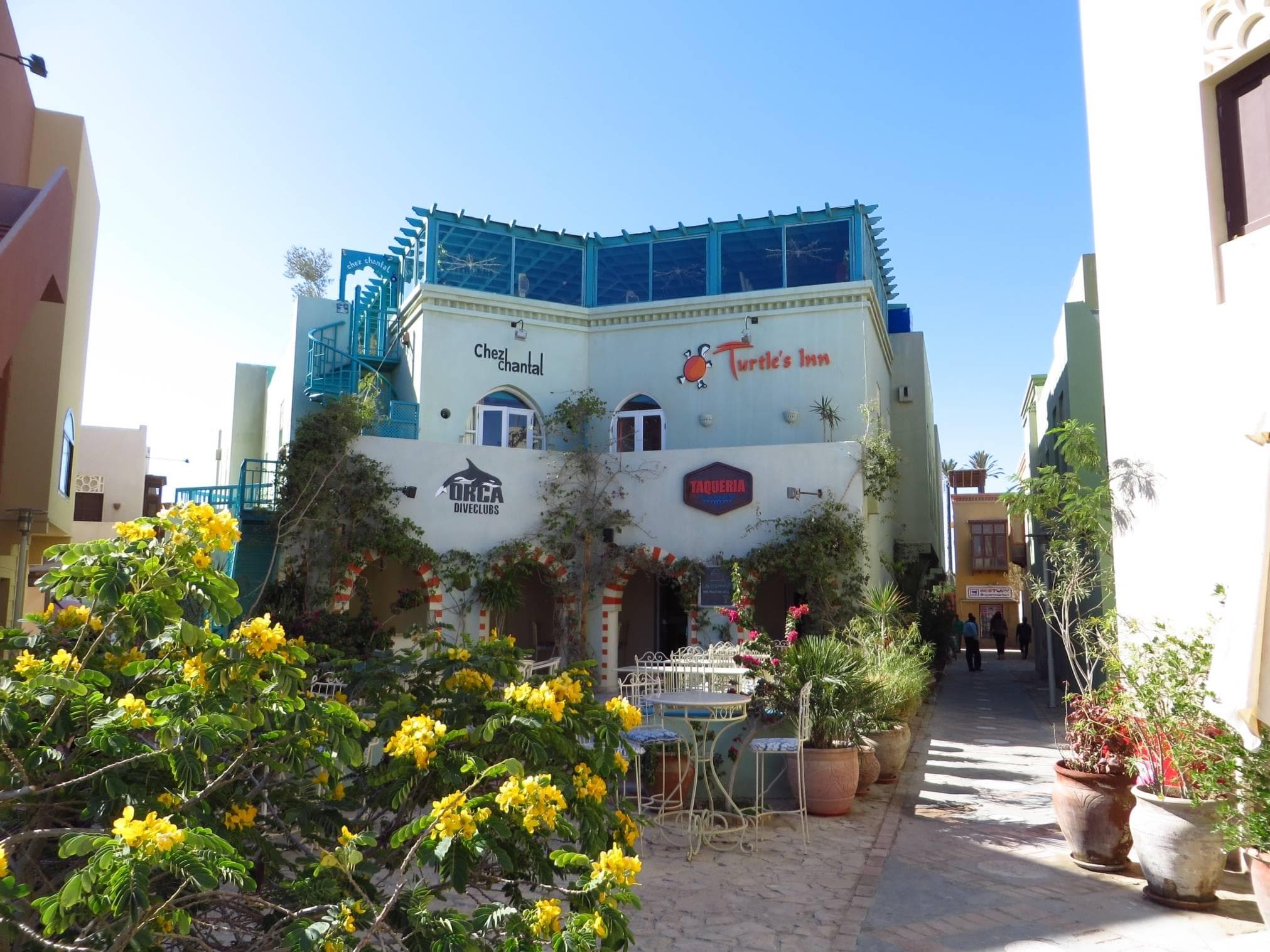 Turtle's Inn Hotel
