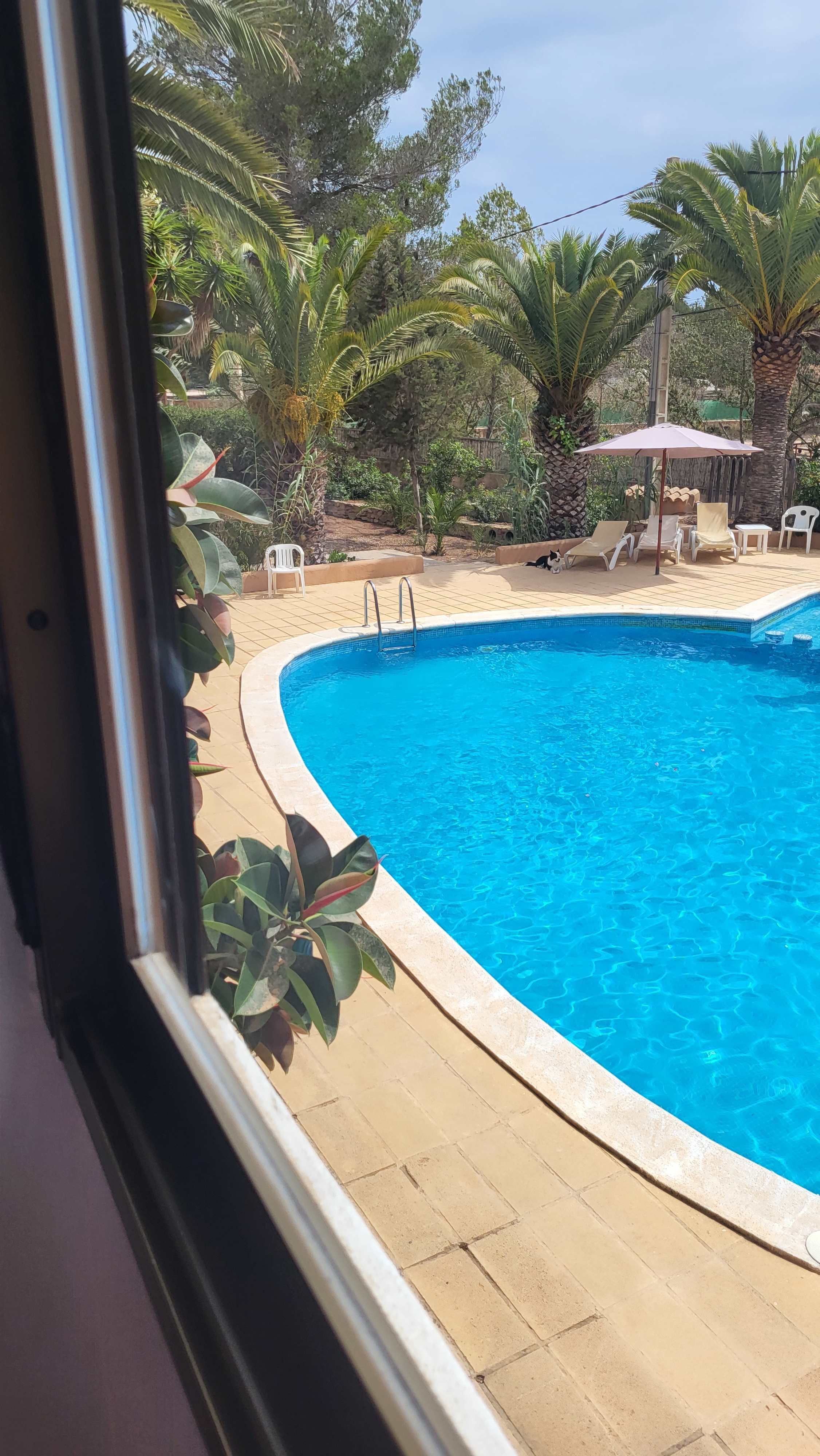 Hotel Allida Ansicht 6