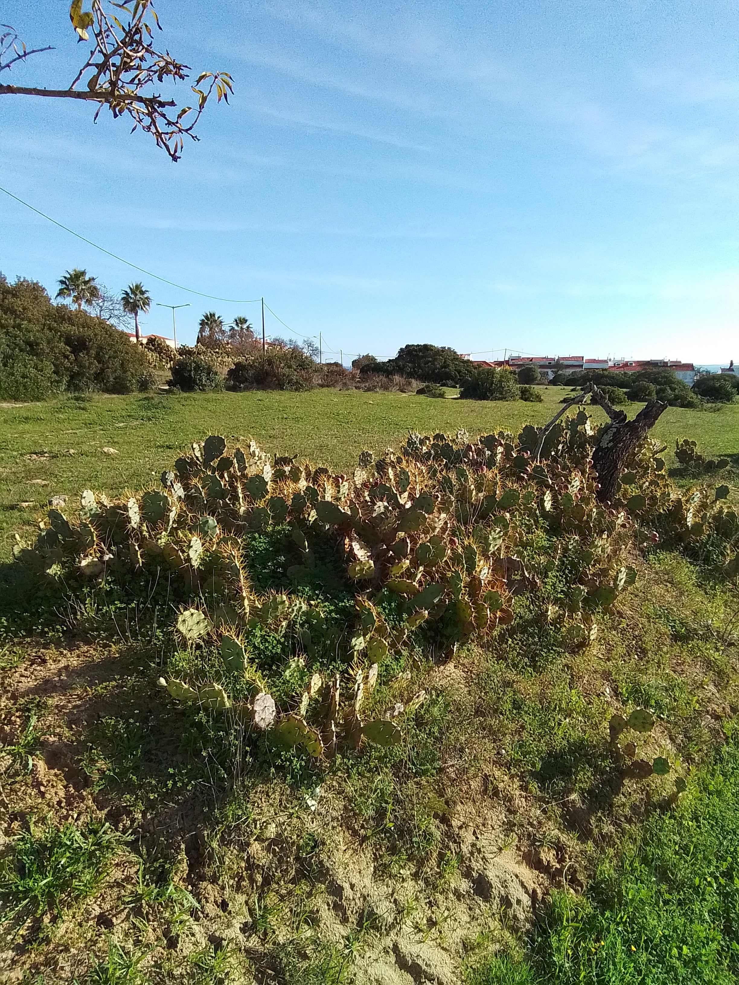 Quinta Das Figueirinhas Ansicht 6