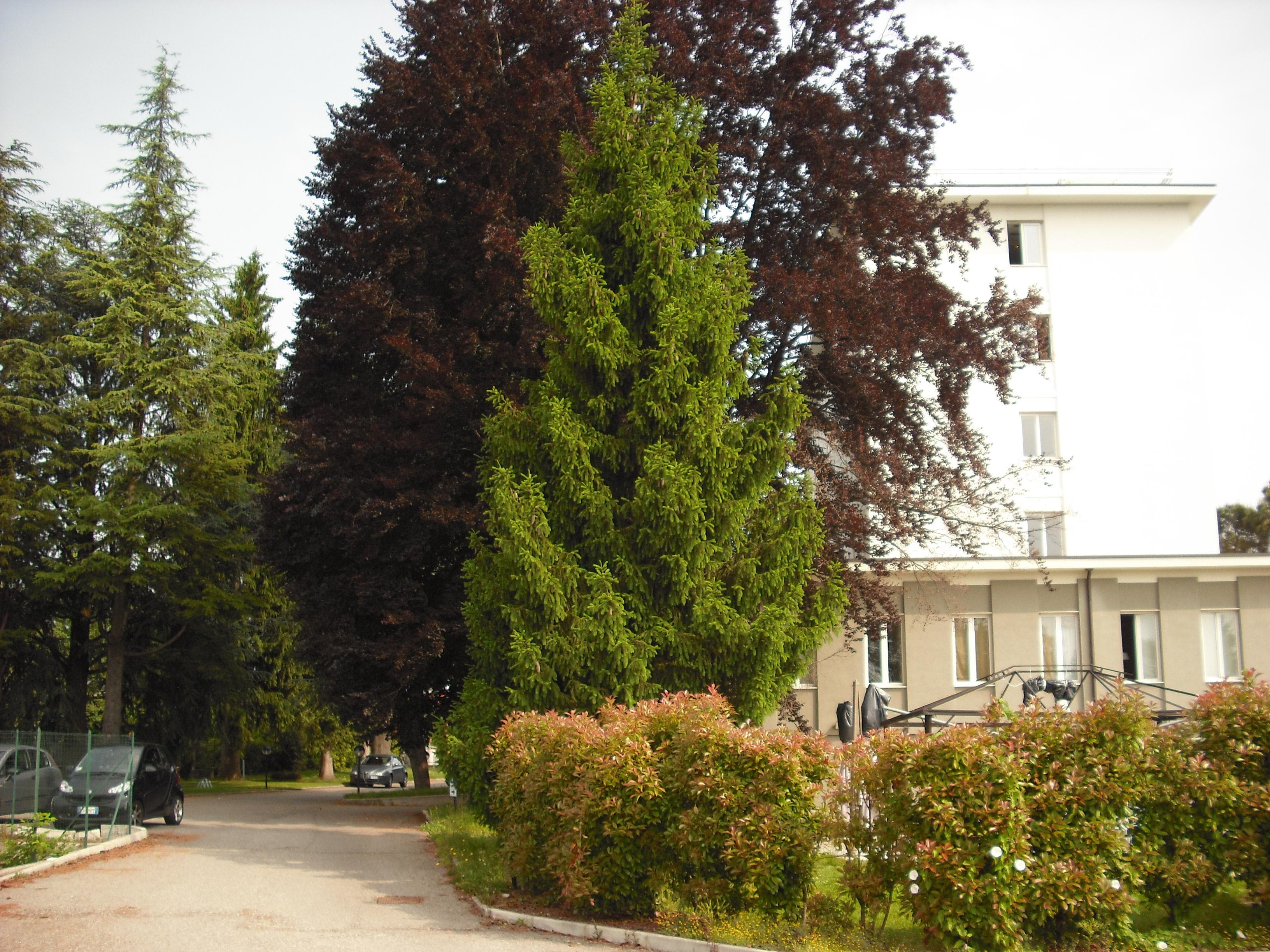 Ibis Styles Varese Ansicht 2