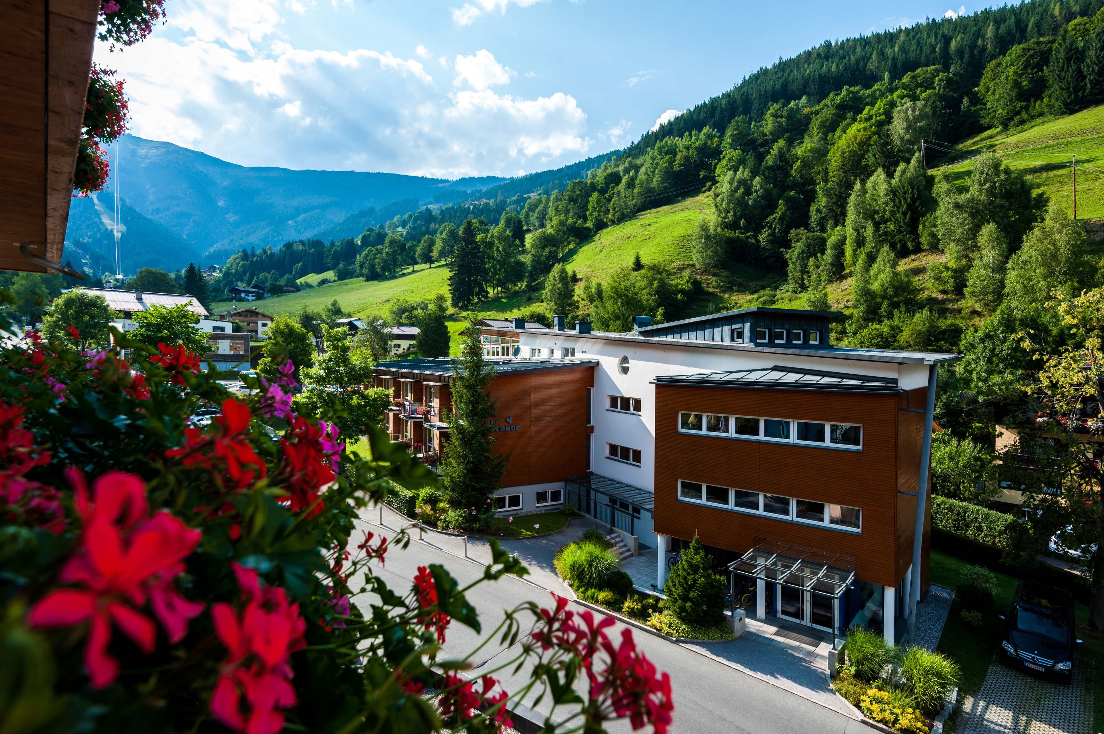 Hotel Der Waldhof Ansicht 3